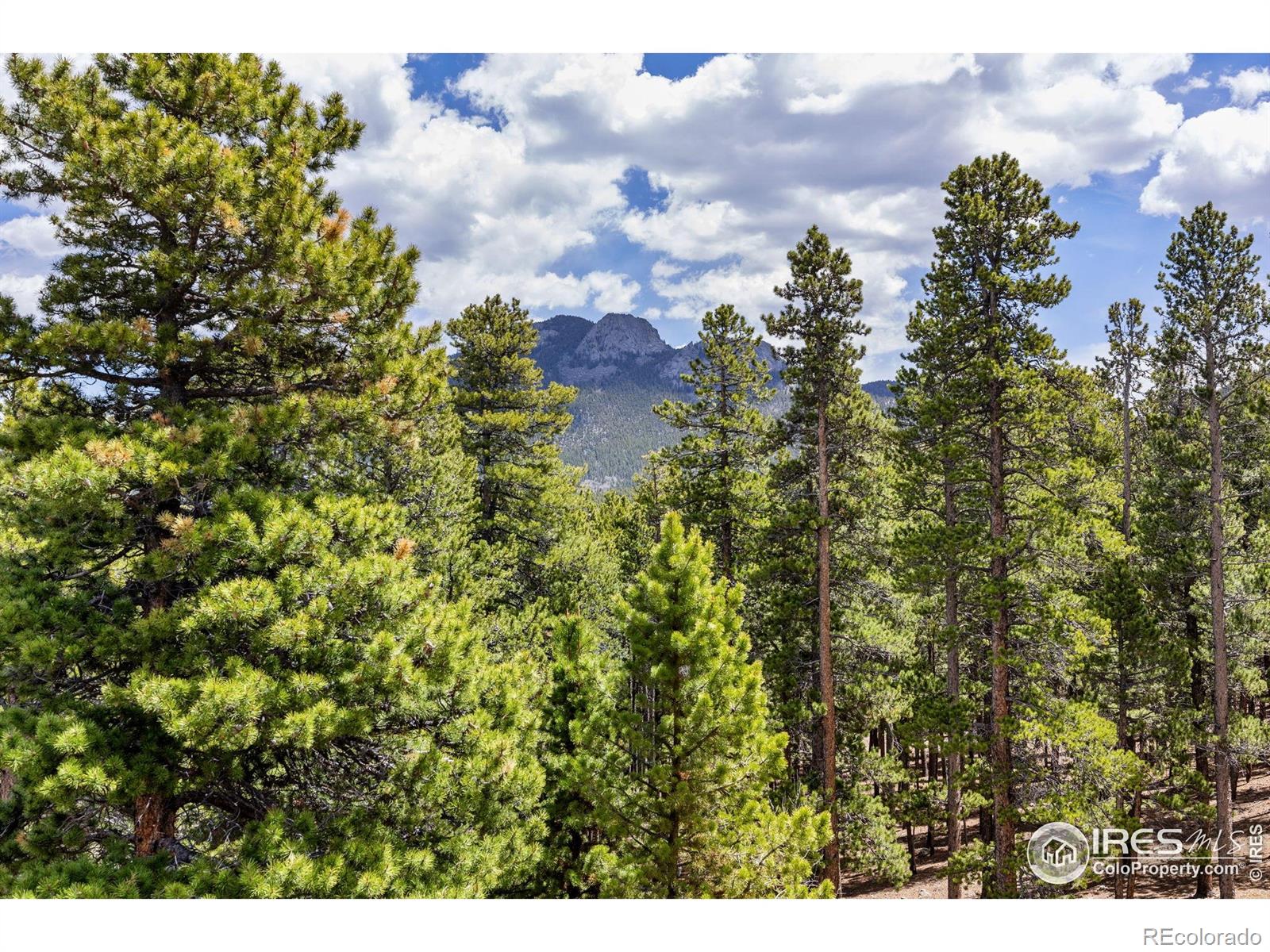 MLS Image #34 for 266  gap road,black hawk, Colorado