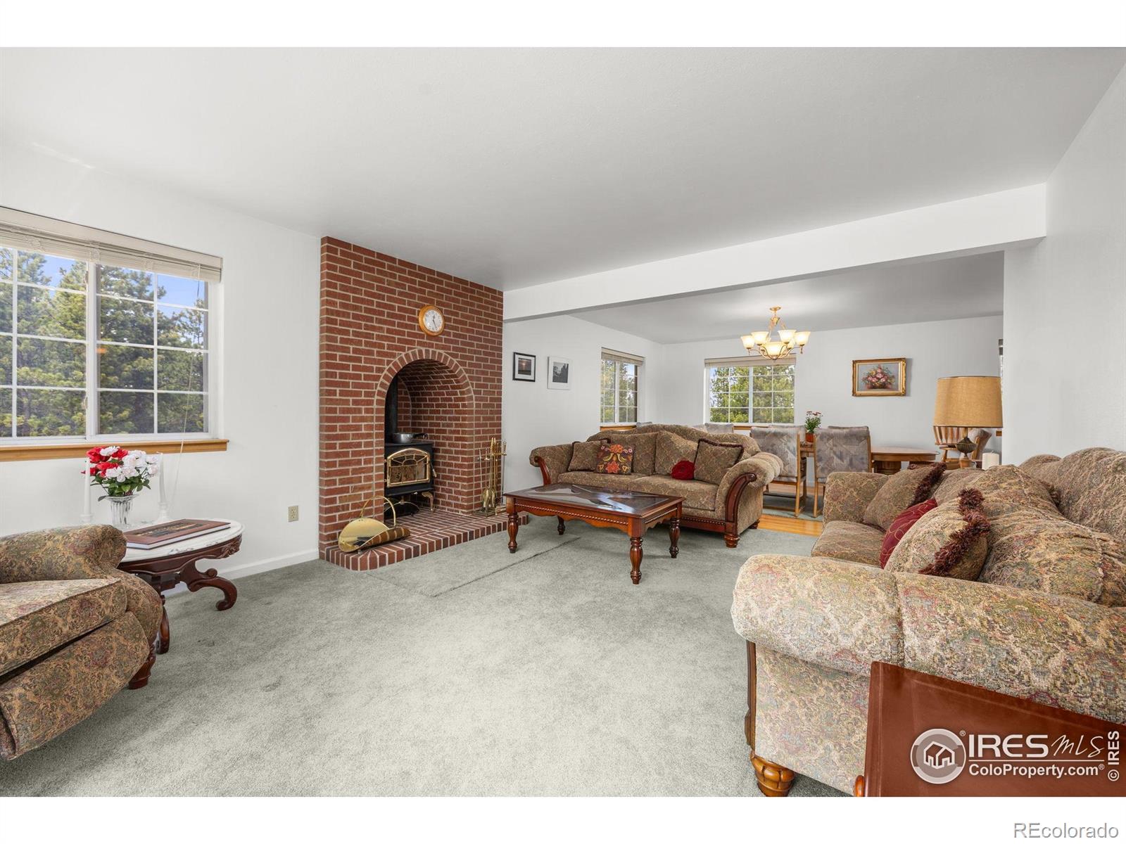 MLS Image #6 for 266  gap road,black hawk, Colorado
