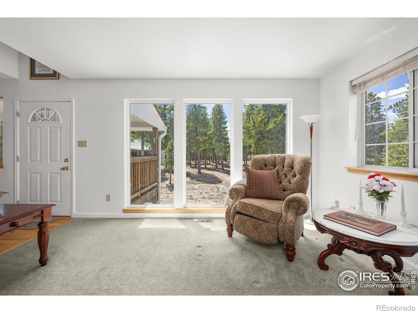 MLS Image #8 for 266  gap road,black hawk, Colorado