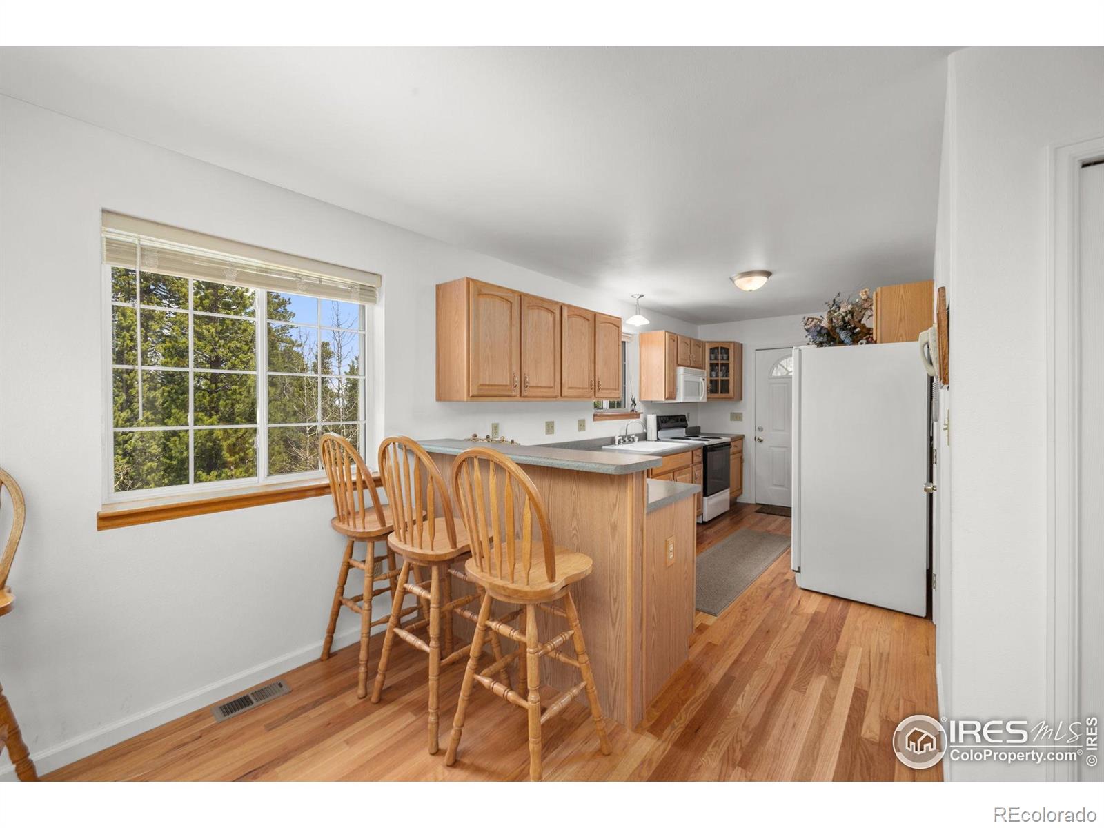 MLS Image #9 for 266  gap road,black hawk, Colorado