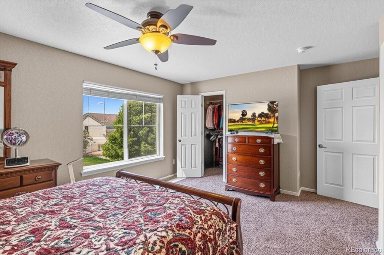 MLS Image #20 for 8020  firecracker trail,colorado springs, Colorado