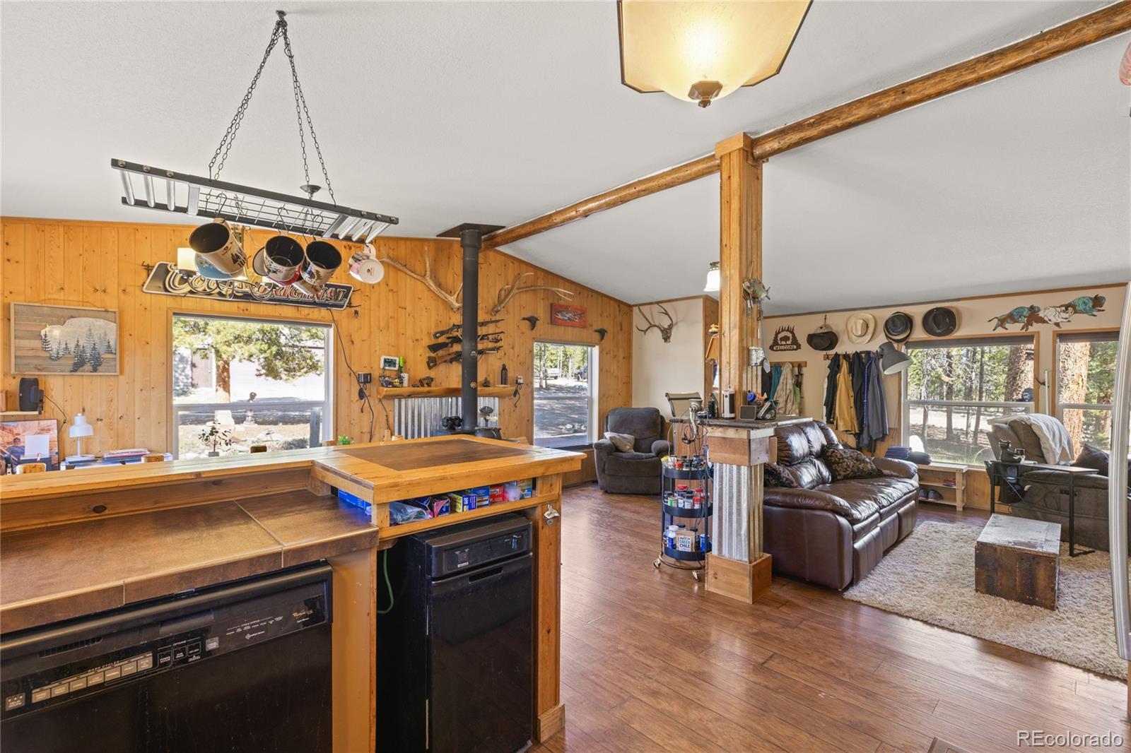 MLS Image #10 for 246  spruce drive,twin lakes, Colorado