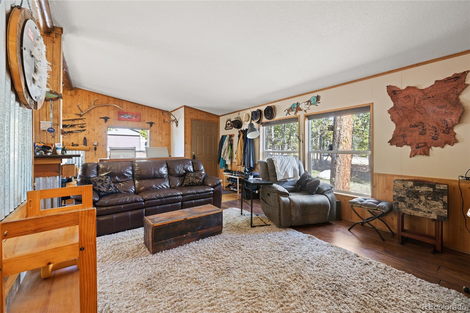 MLS Image #6 for 246  spruce drive,twin lakes, Colorado