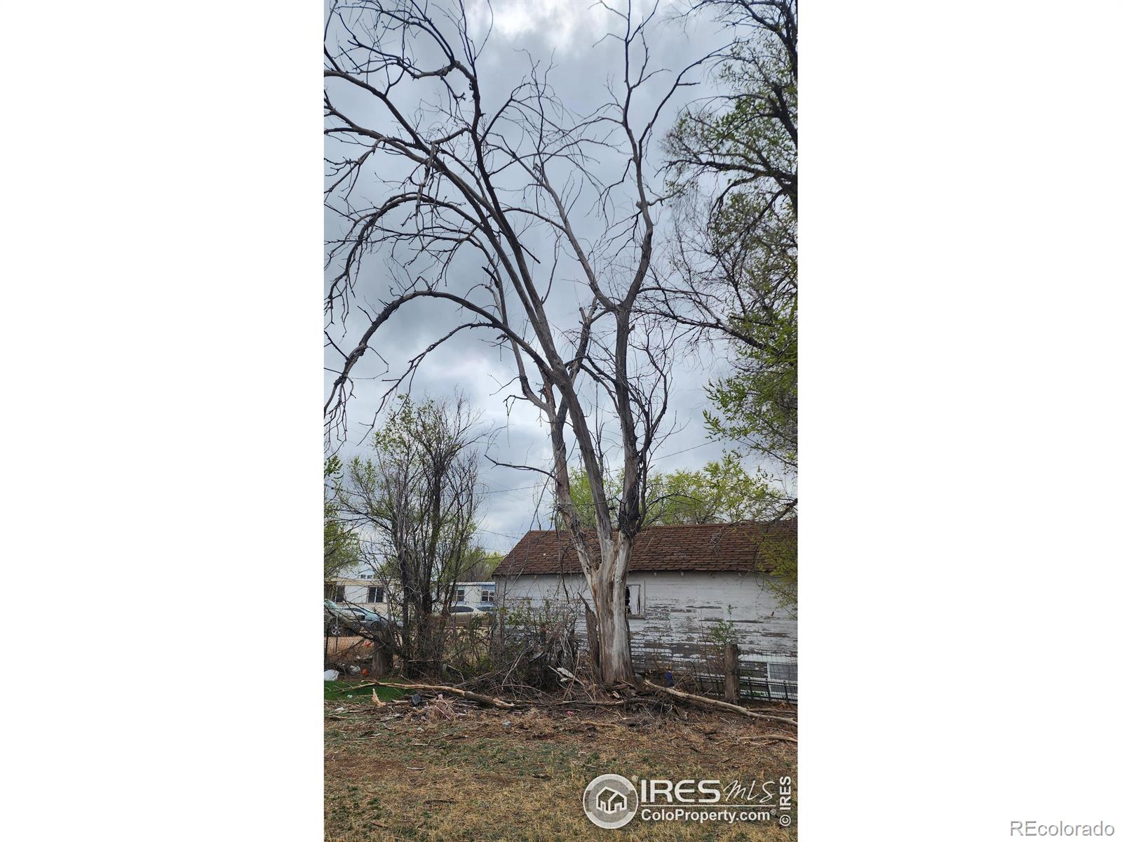 MLS Image #14 for 701  phelps street,sterling, Colorado