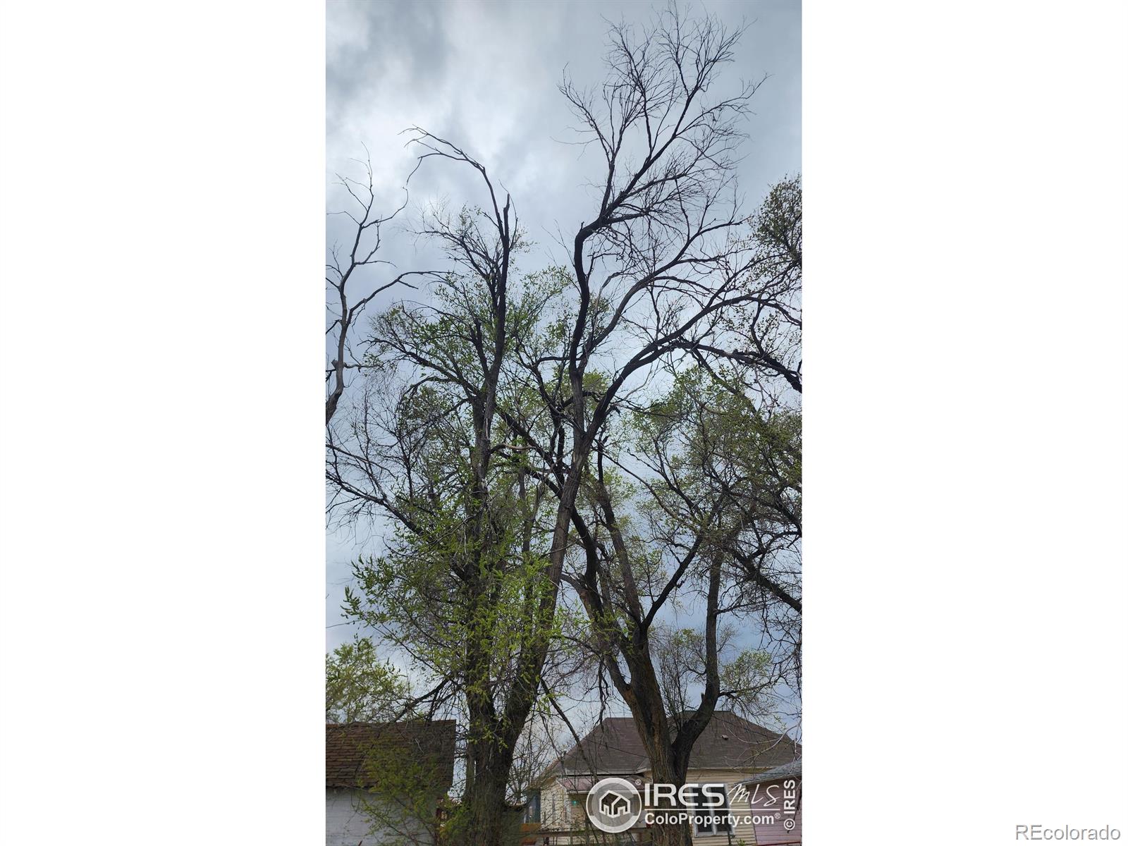 MLS Image #15 for 701  phelps street,sterling, Colorado