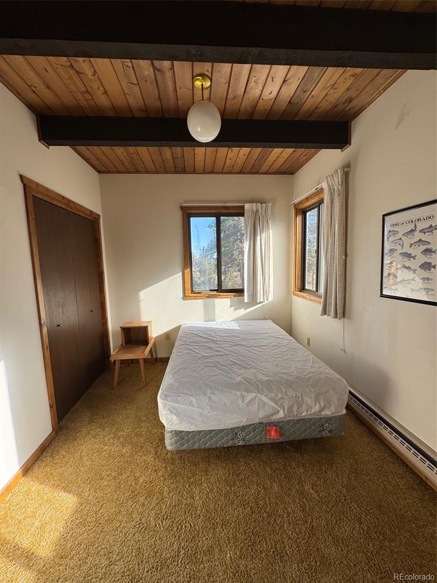 MLS Image #14 for 14320  county road 261h ,nathrop, Colorado