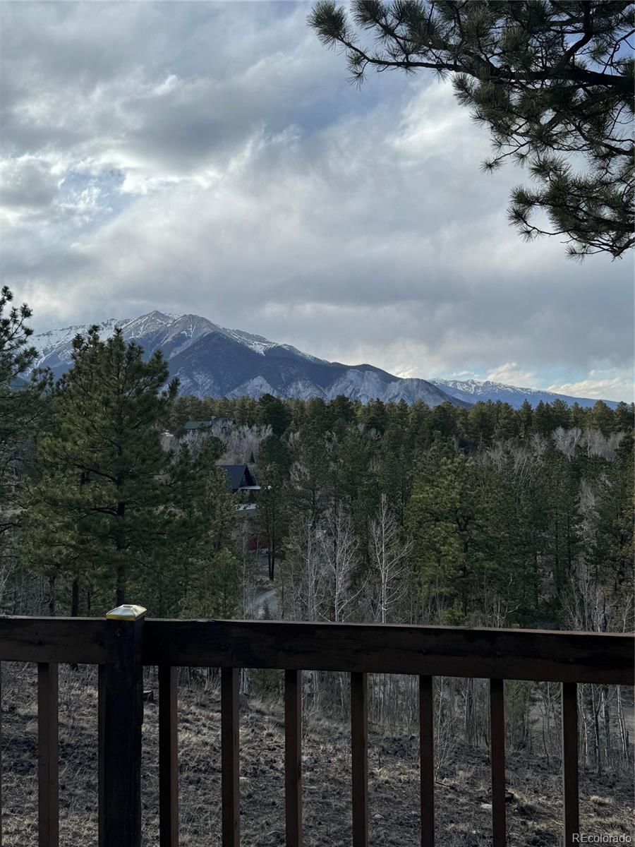 MLS Image #15 for 14320  county road 261h ,nathrop, Colorado