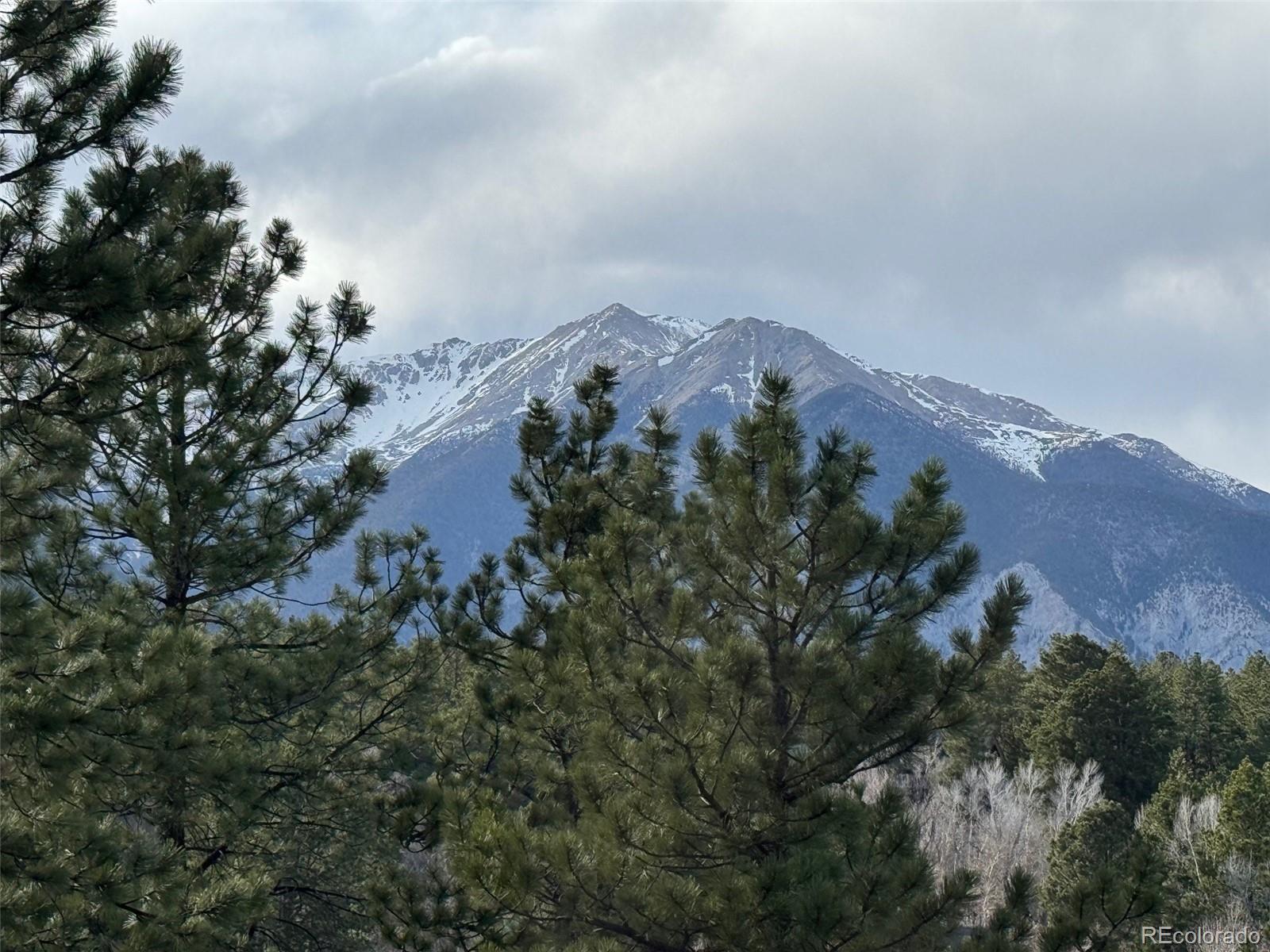MLS Image #16 for 14320  county road 261h ,nathrop, Colorado