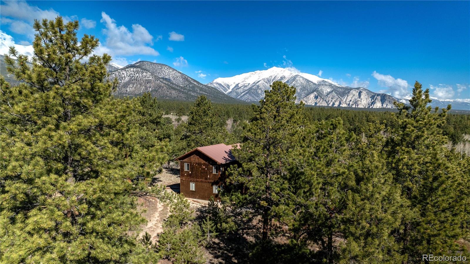 MLS Image #3 for 14320  county road 261h ,nathrop, Colorado