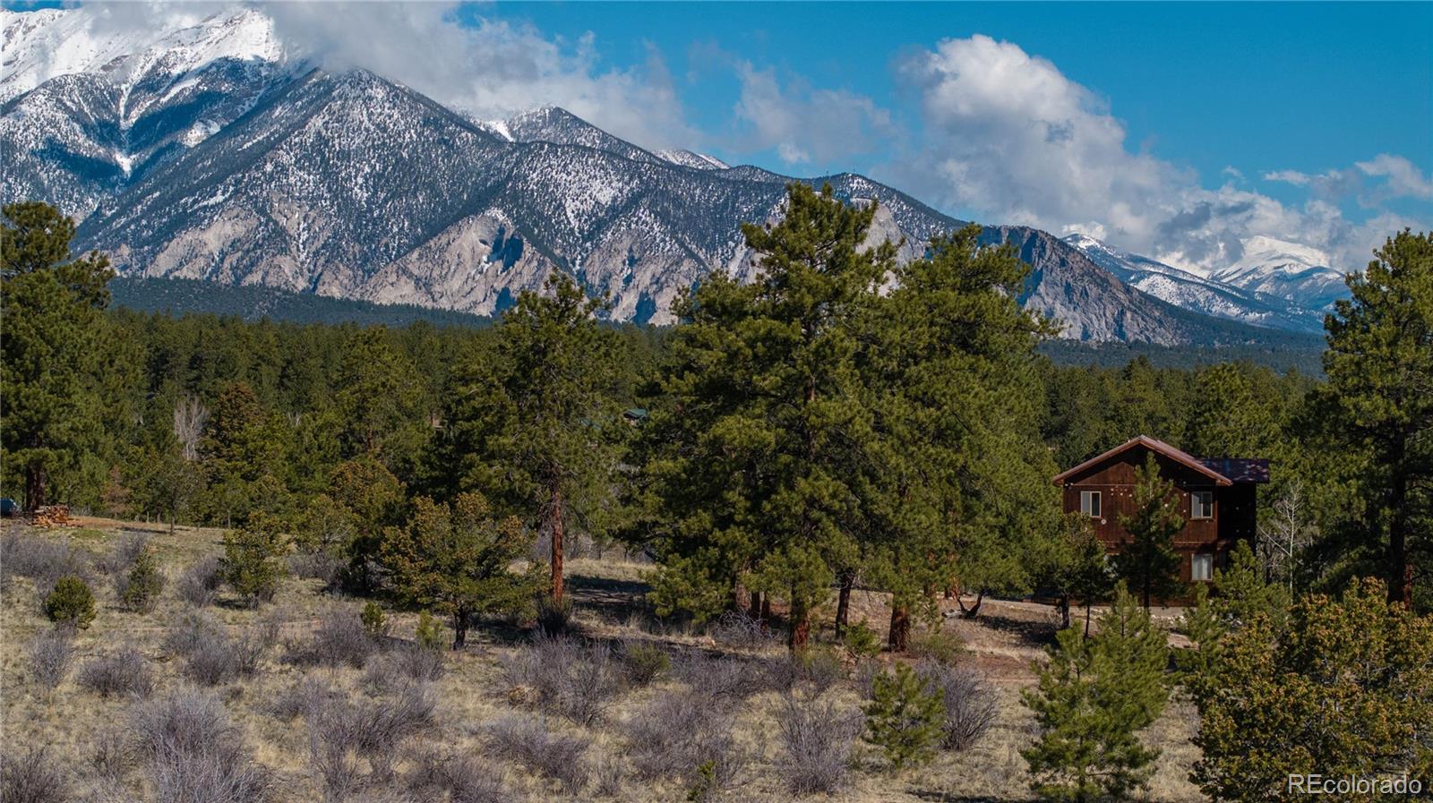 MLS Image #6 for 14320  county road 261h ,nathrop, Colorado