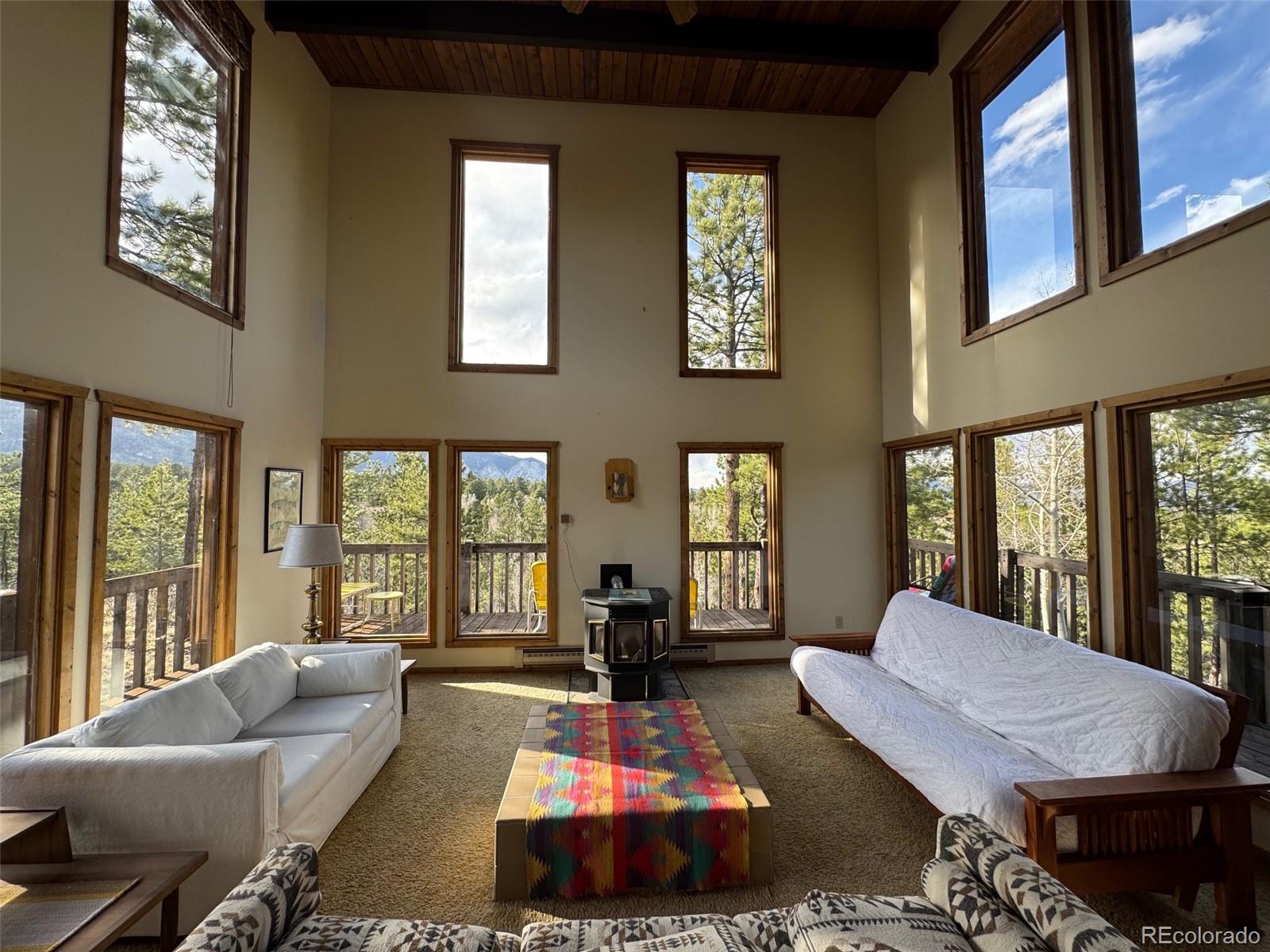 MLS Image #8 for 14320  county road 261h ,nathrop, Colorado