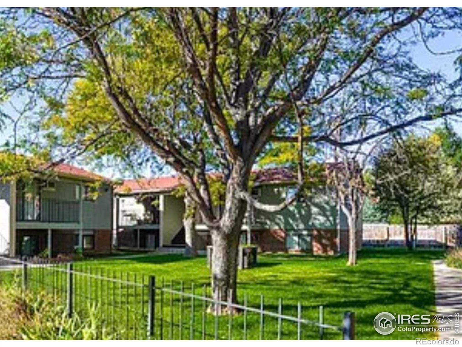 MLS Image #24 for 419 s impala drive,fort collins, Colorado