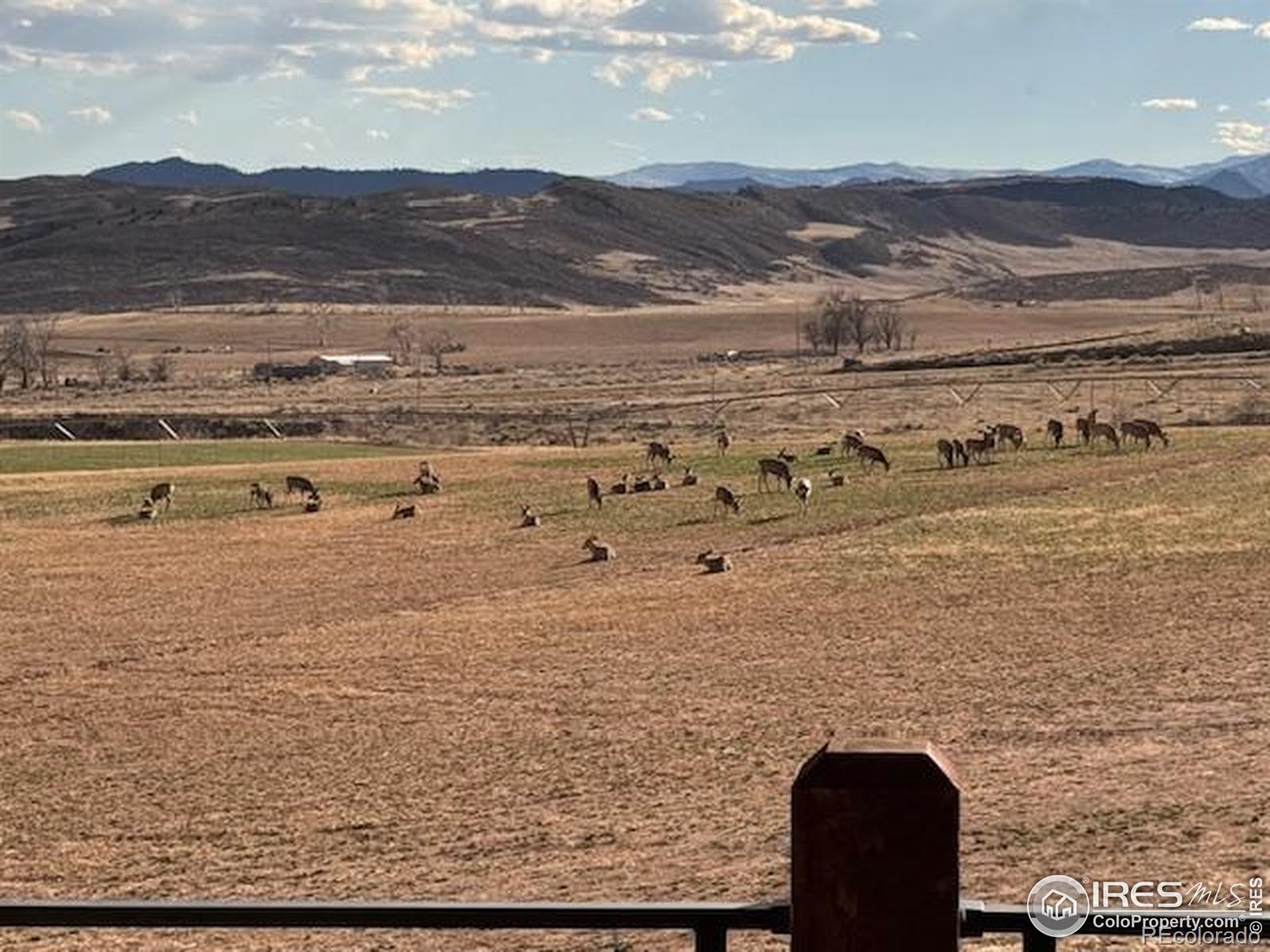 MLS Image #29 for 3310 w county road 80 ,wellington, Colorado