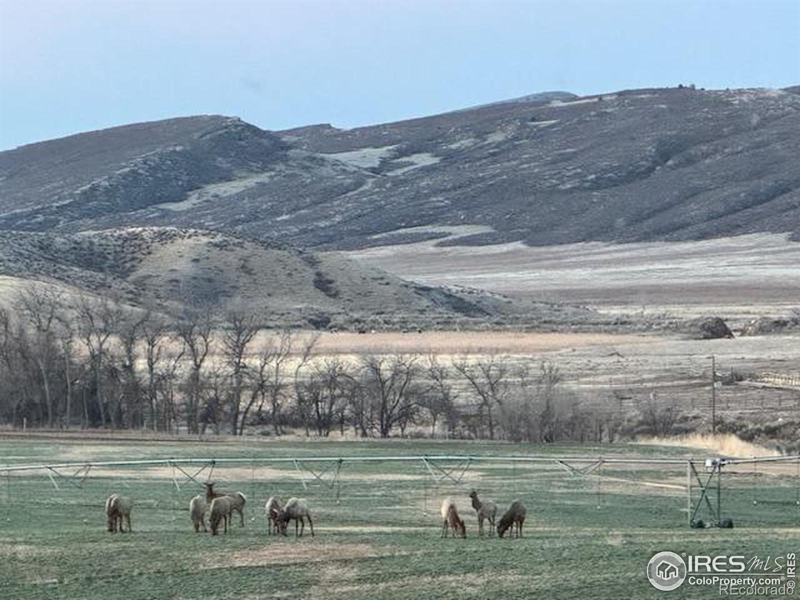 MLS Image #33 for 3310 w county road 80 ,wellington, Colorado