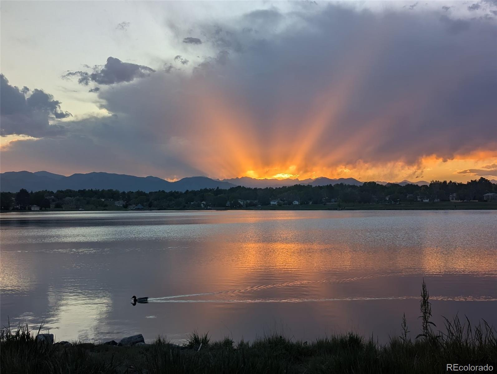 MLS Image #42 for 6411 w 82nd drive,arvada, Colorado