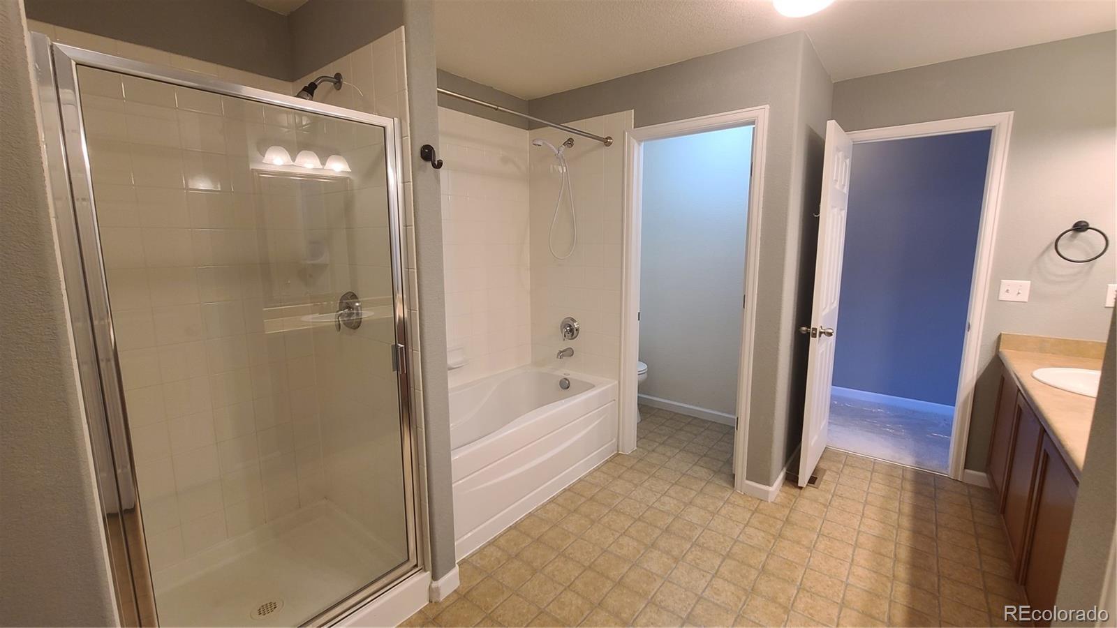 MLS Image #20 for 1653  valley oak court,castle rock, Colorado