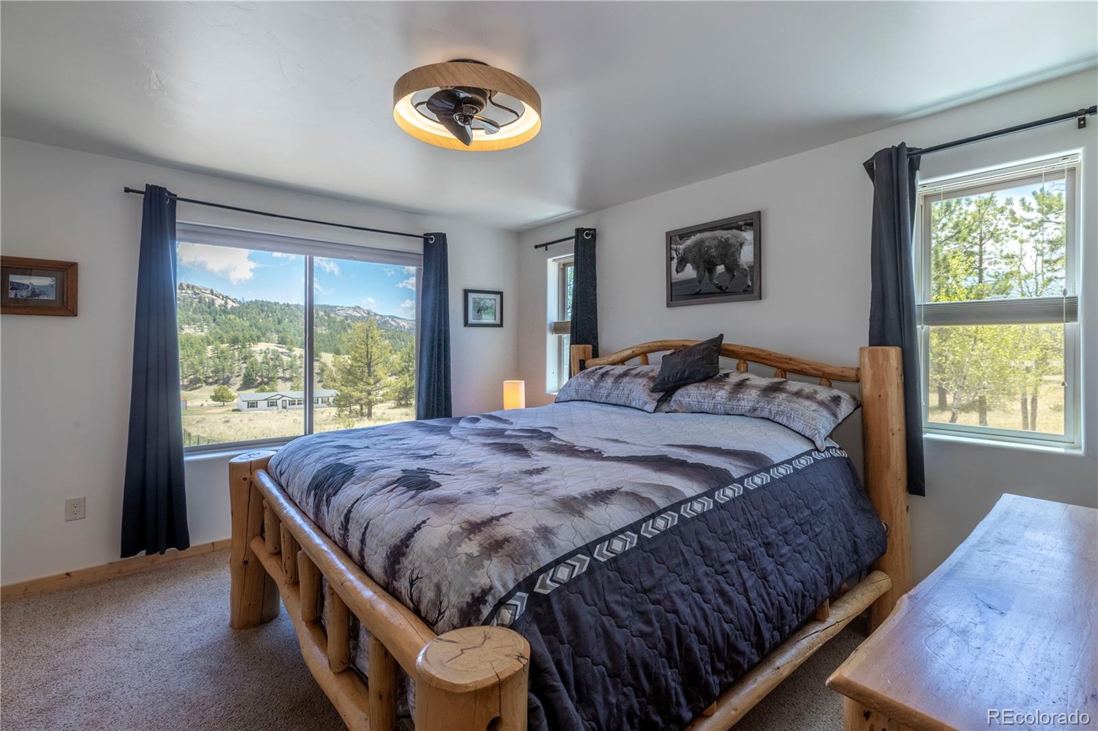 MLS Image #11 for 874  hackamore drive,florissant, Colorado