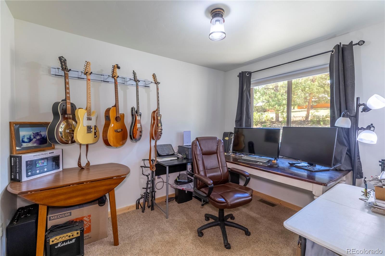 MLS Image #13 for 874  hackamore drive,florissant, Colorado