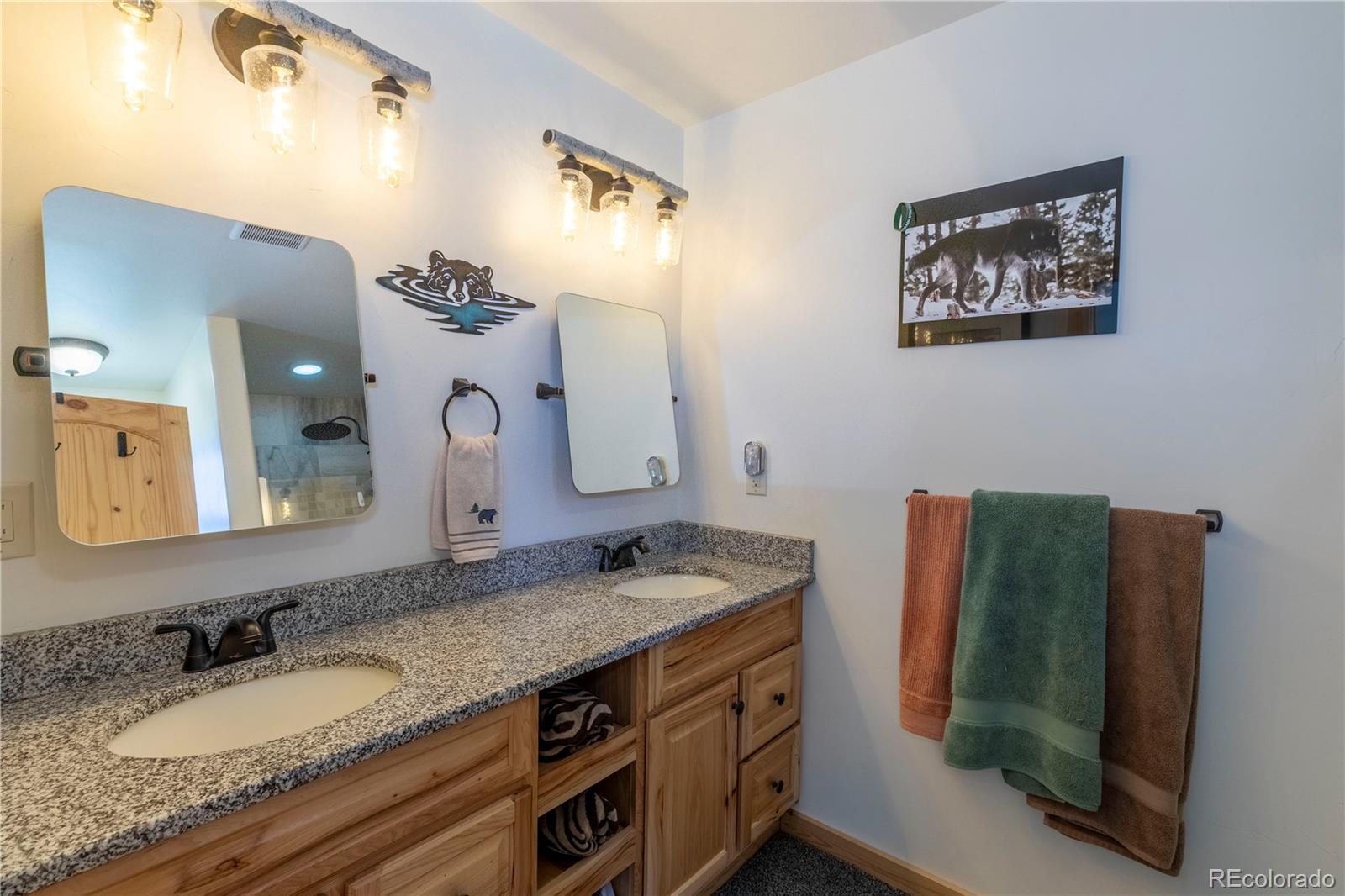 MLS Image #14 for 874  hackamore drive,florissant, Colorado
