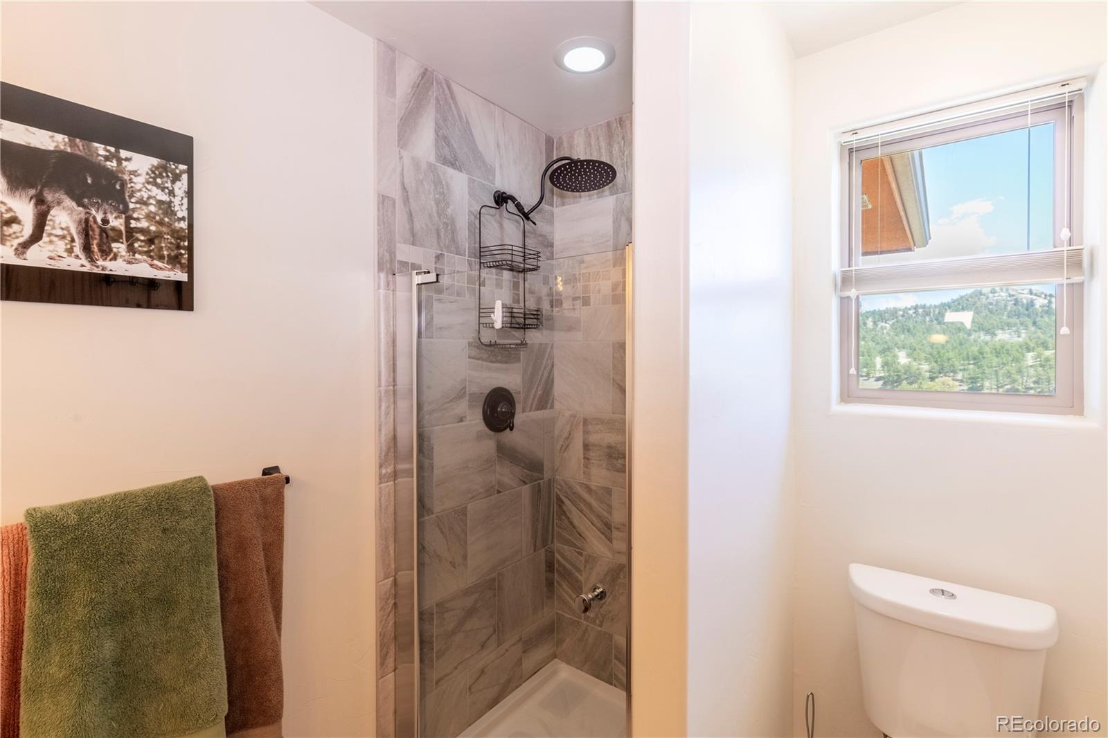 MLS Image #15 for 874  hackamore drive,florissant, Colorado