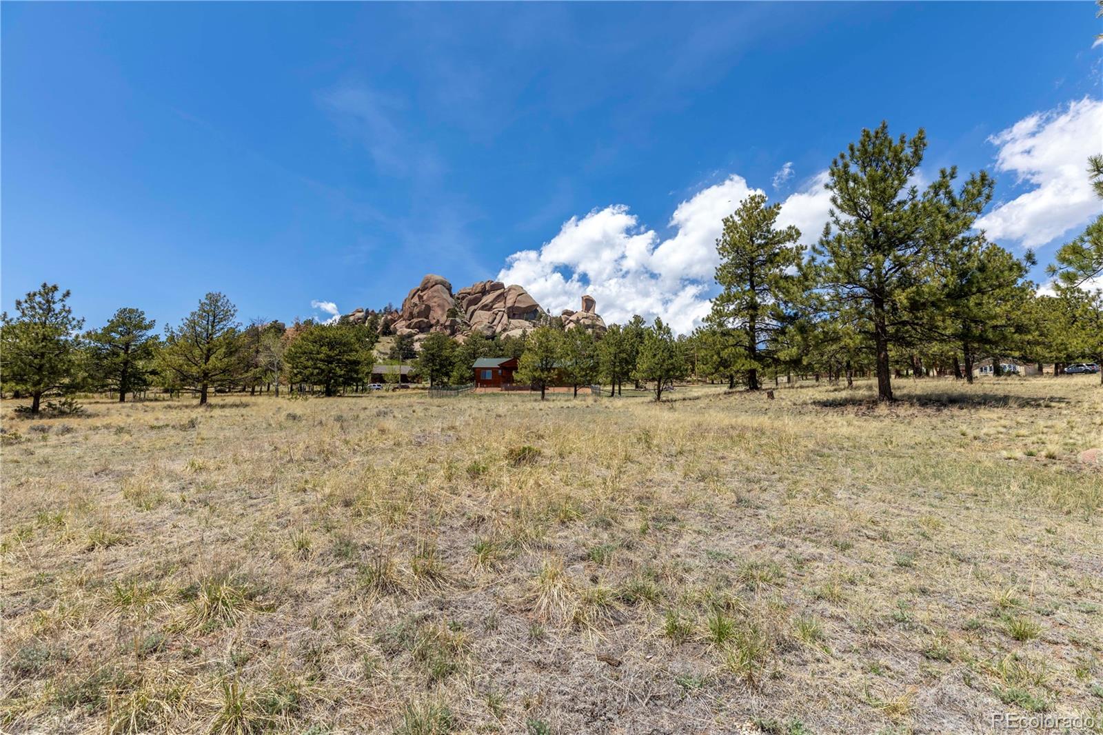 MLS Image #33 for 874  hackamore drive,florissant, Colorado