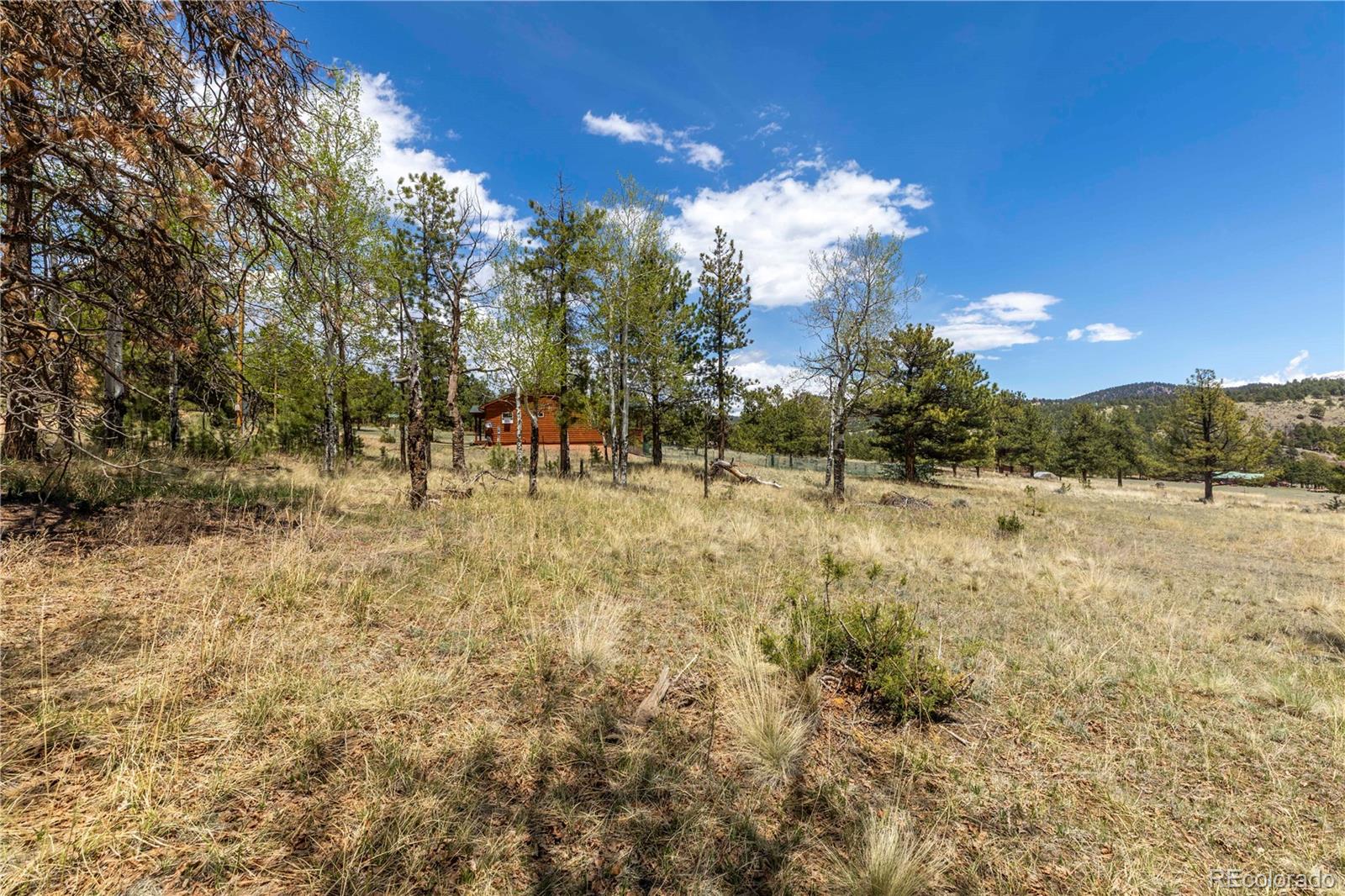 MLS Image #36 for 874  hackamore drive,florissant, Colorado