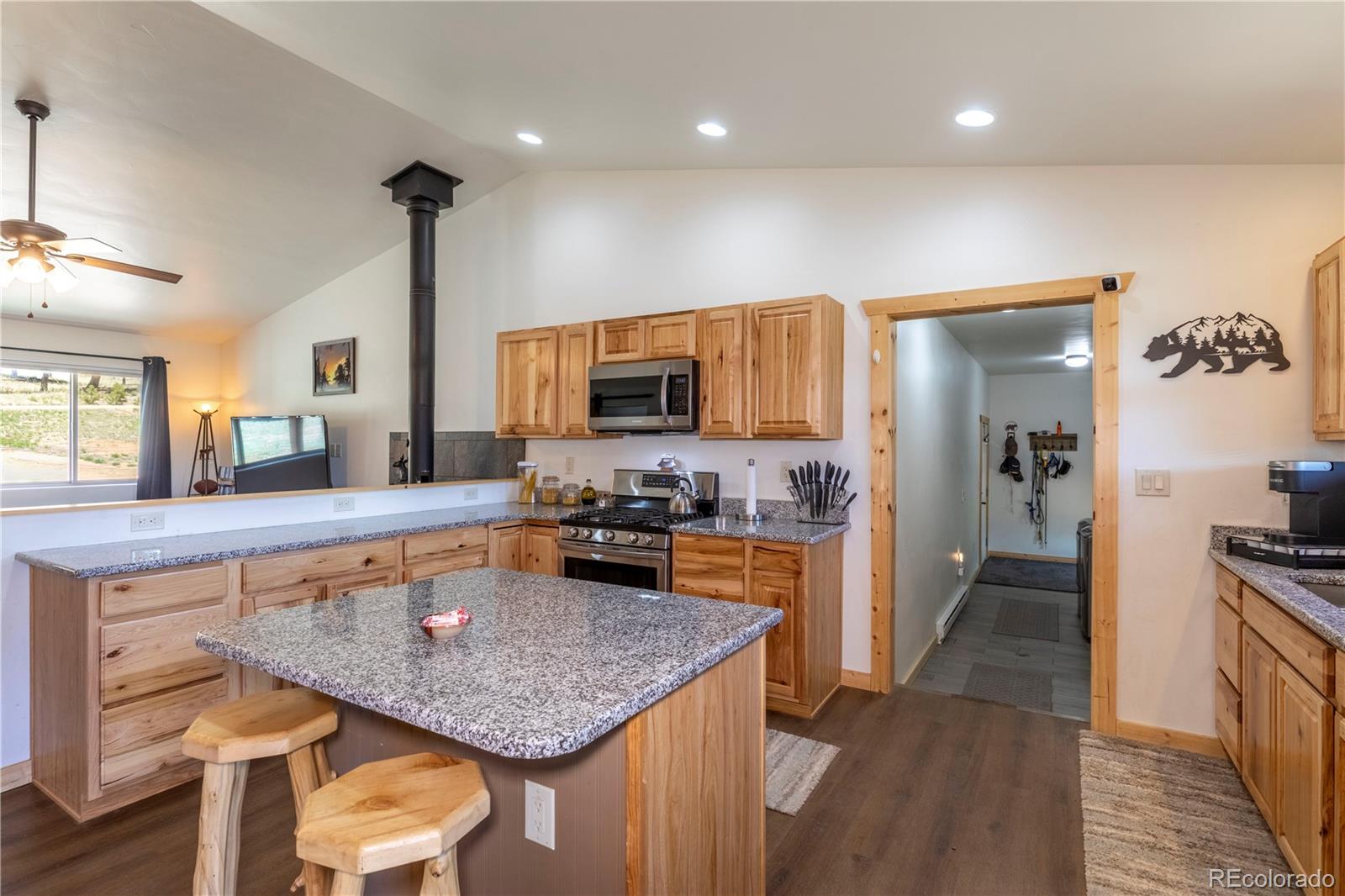 MLS Image #6 for 874  hackamore drive,florissant, Colorado