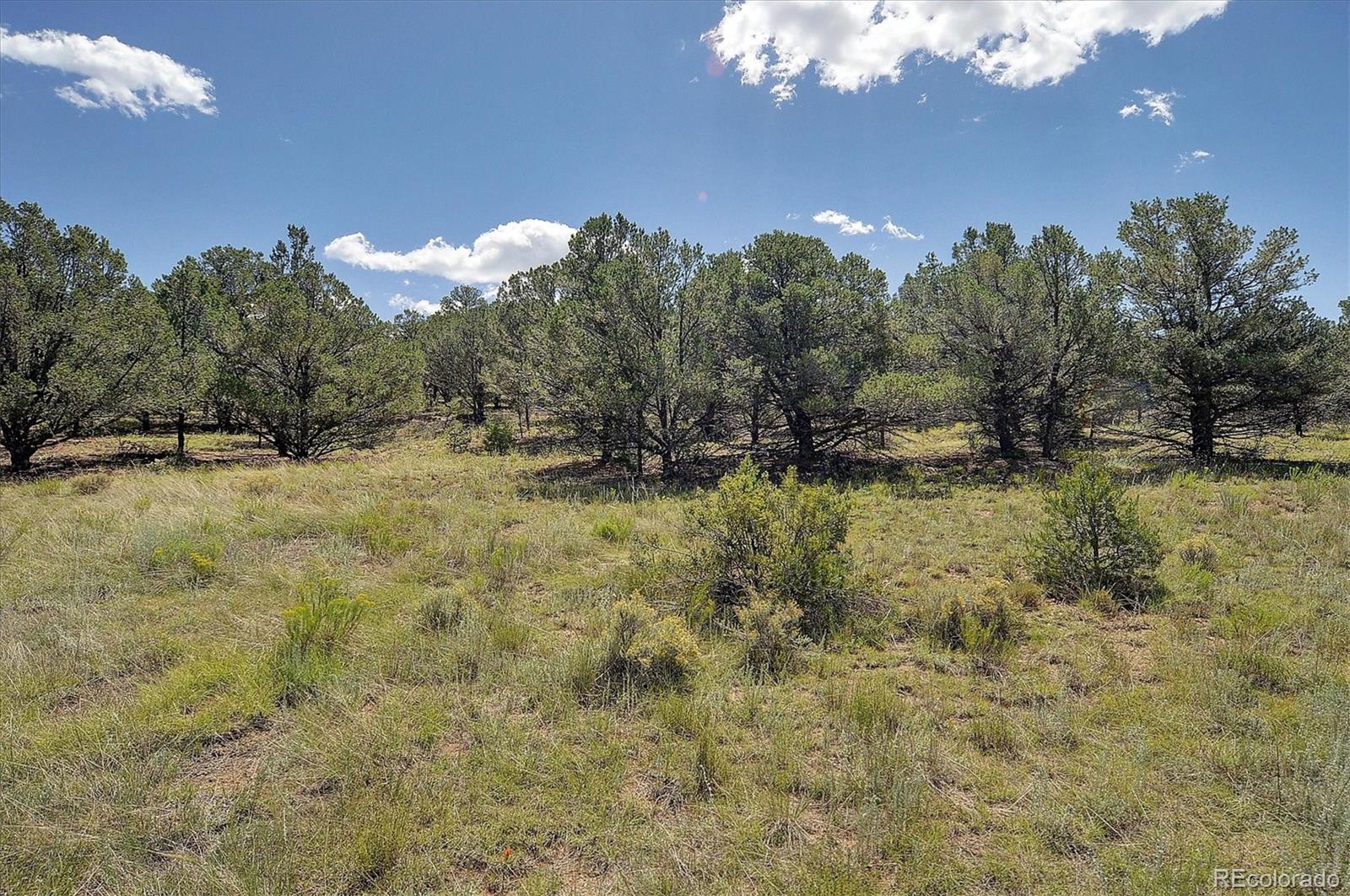 MLS Image #36 for 488  county road 278 ,westcliffe, Colorado