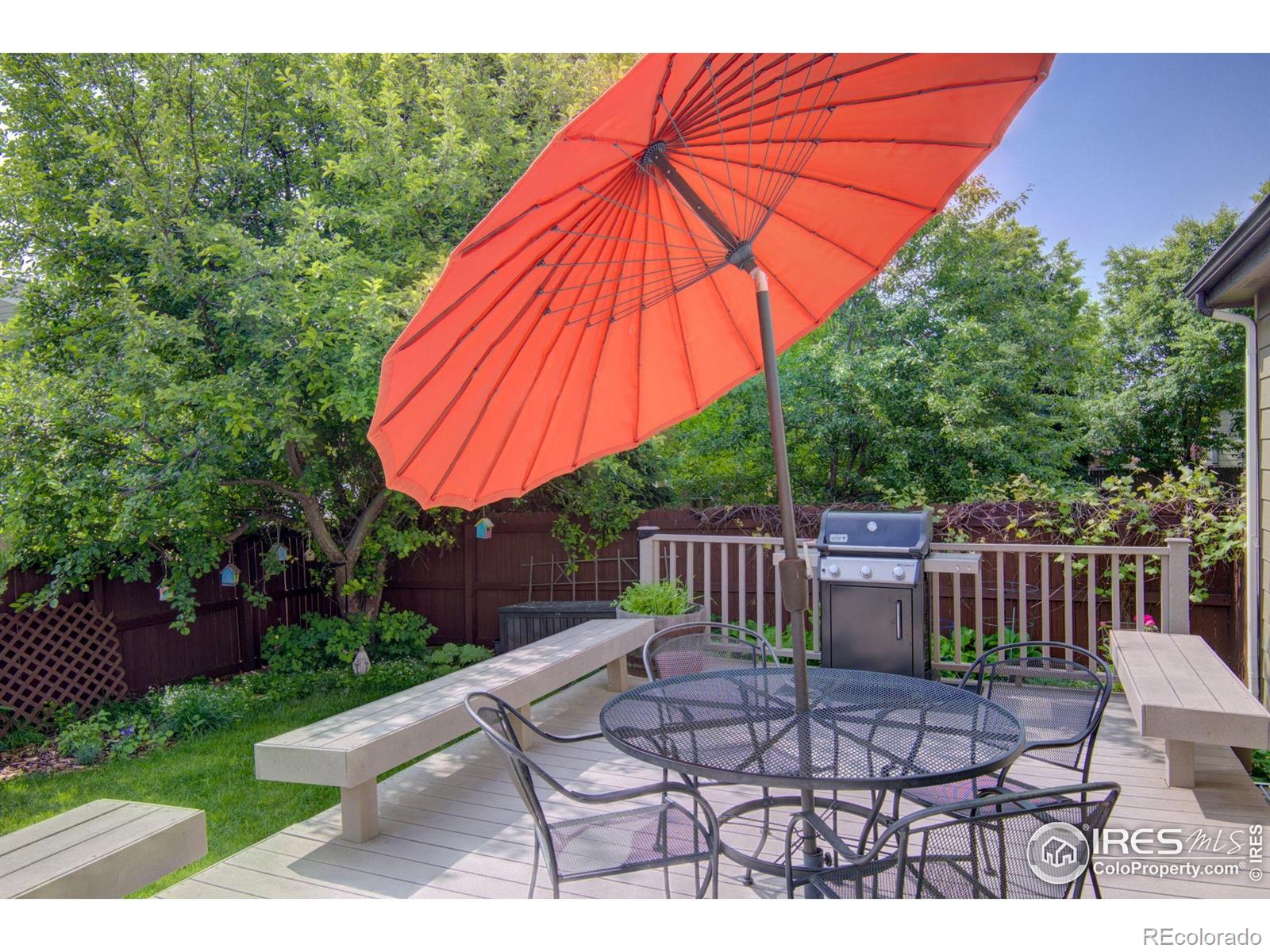 MLS Image #3 for 1574  goshawk drive,longmont, Colorado