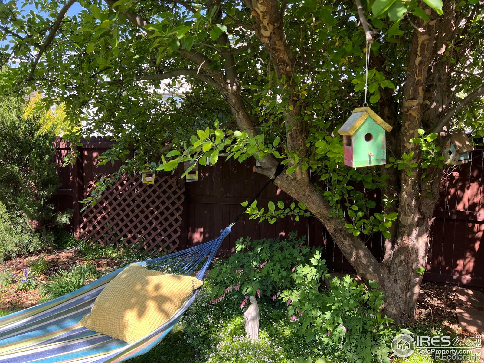 MLS Image #33 for 1574  goshawk drive,longmont, Colorado