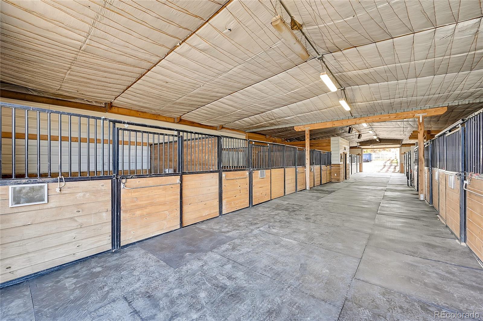 MLS Image #36 for 810 n perry park road,sedalia, Colorado