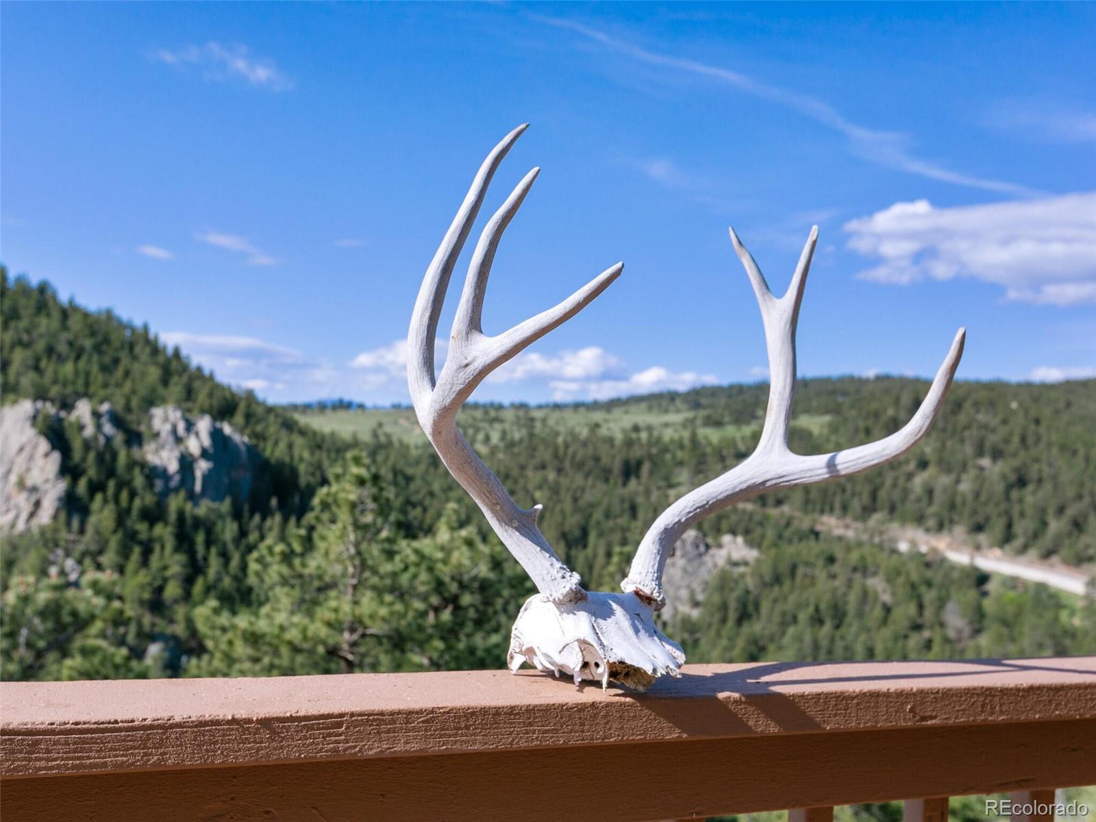 MLS Image #35 for 6066  crawford gulch road,golden, Colorado