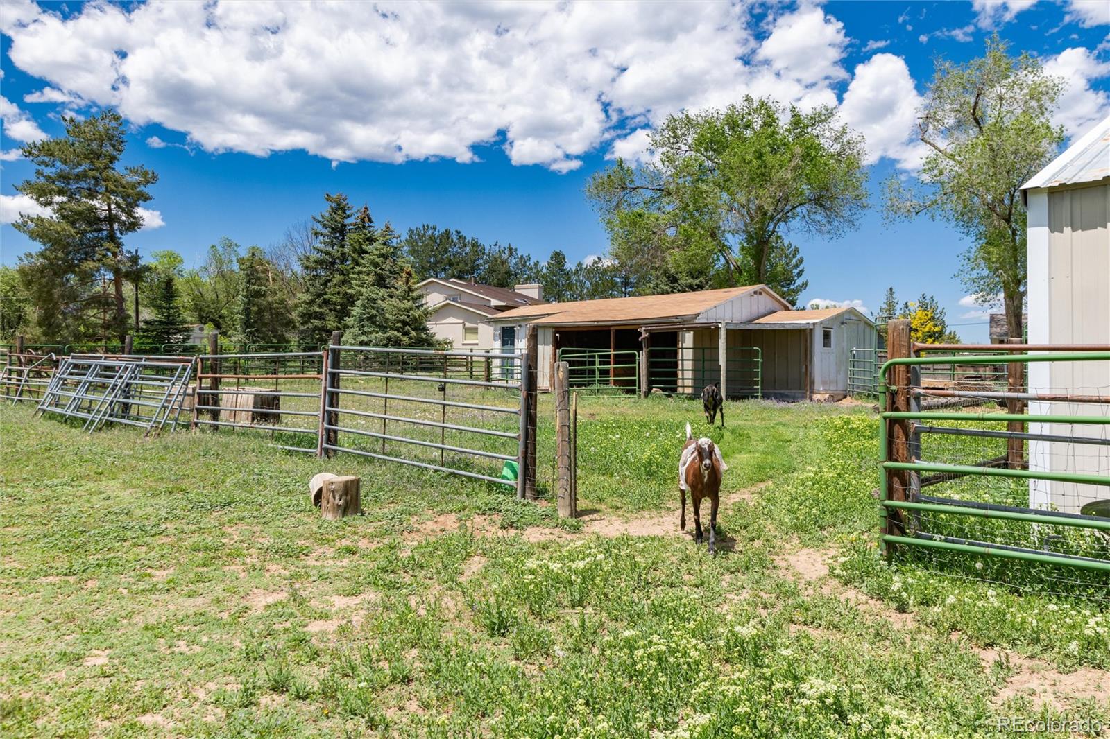 MLS Image #4 for 10220 w montgomery avenue,littleton, Colorado