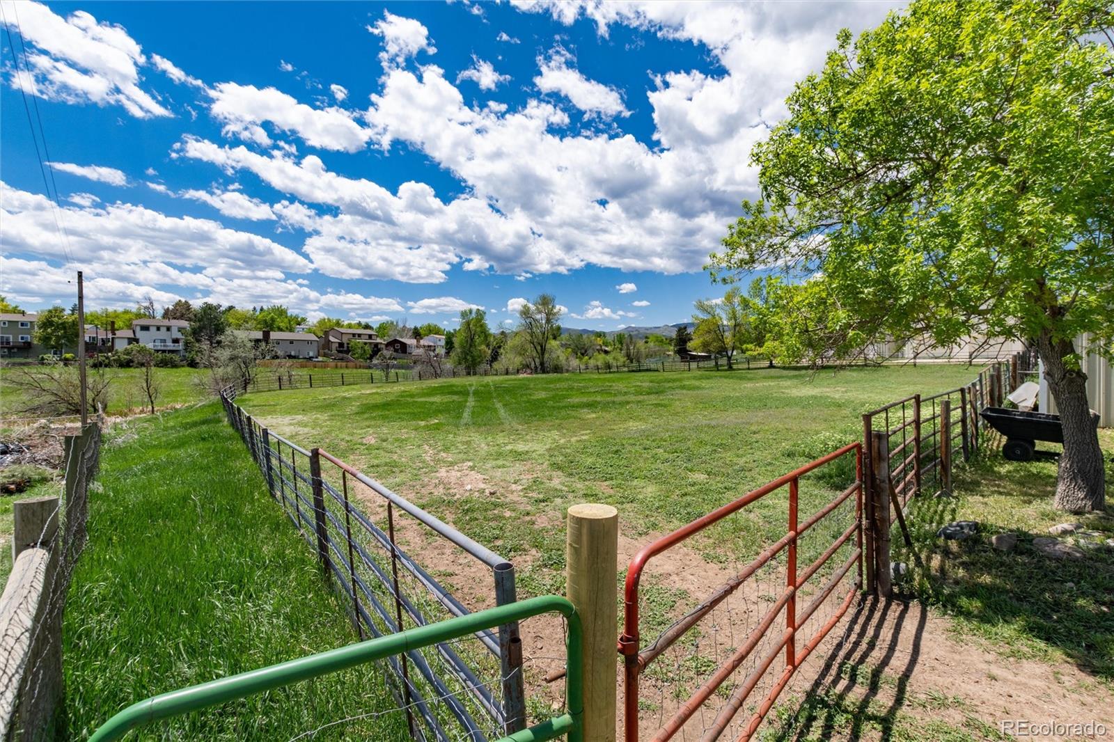 MLS Image #6 for 10220 w montgomery avenue,littleton, Colorado