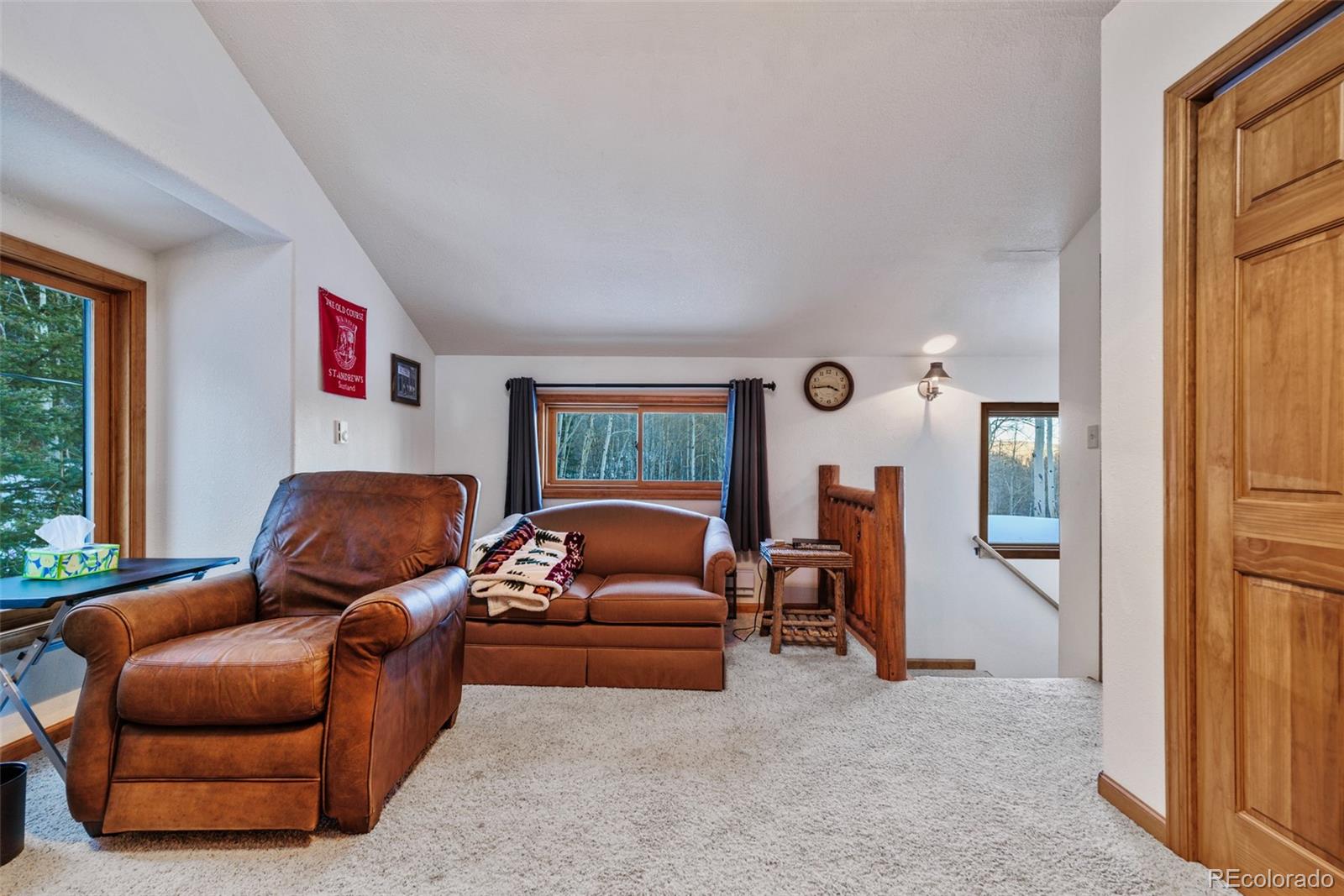 MLS Image #16 for 2150  michigan hill rd ,jefferson, Colorado
