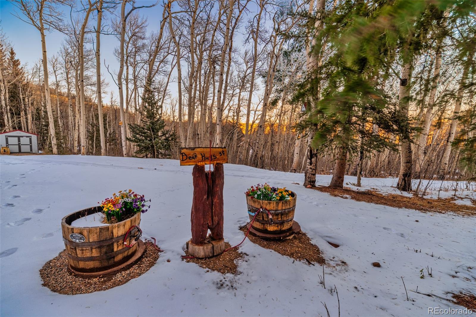 MLS Image #28 for 2150  michigan hill rd ,jefferson, Colorado