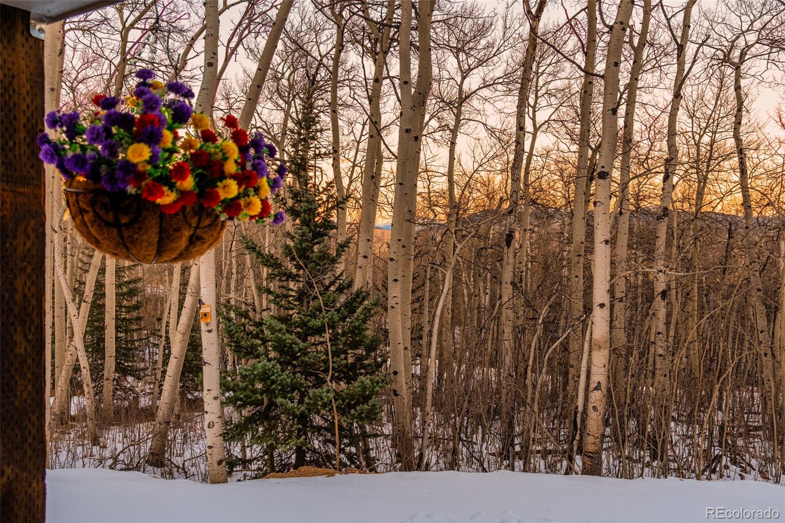 MLS Image #33 for 2150  michigan hill rd ,jefferson, Colorado