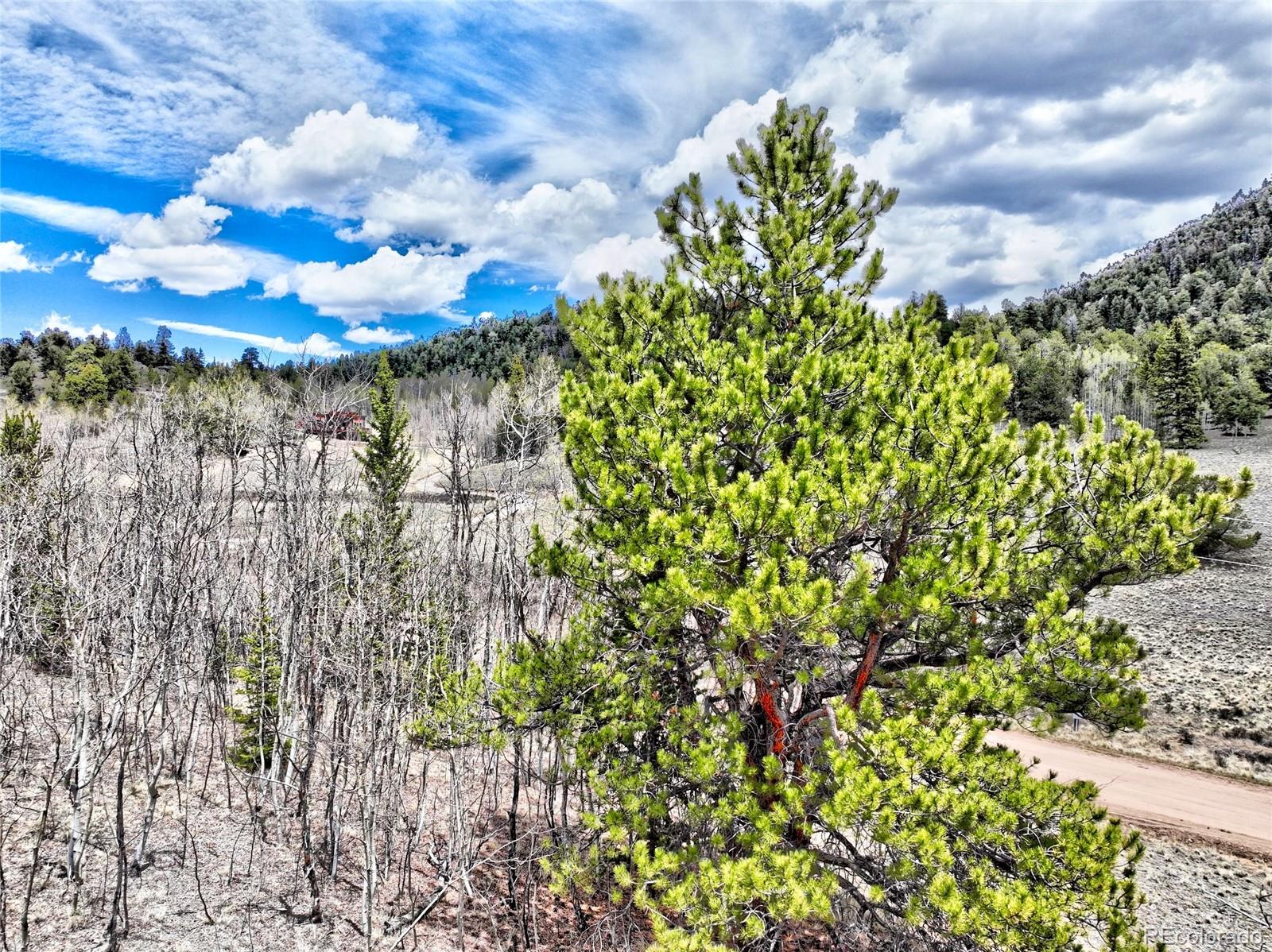 MLS Image #28 for 1840  ute tr ,como, Colorado