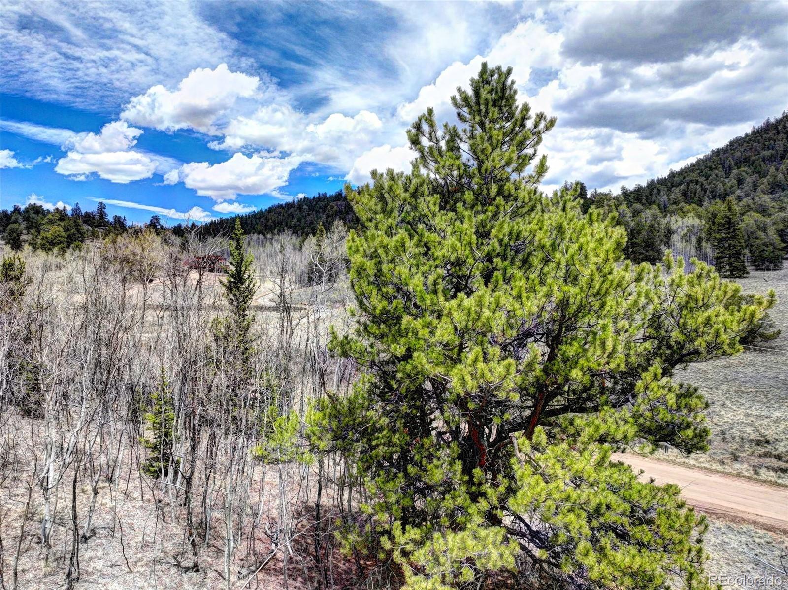 MLS Image #35 for 1840  ute tr ,como, Colorado