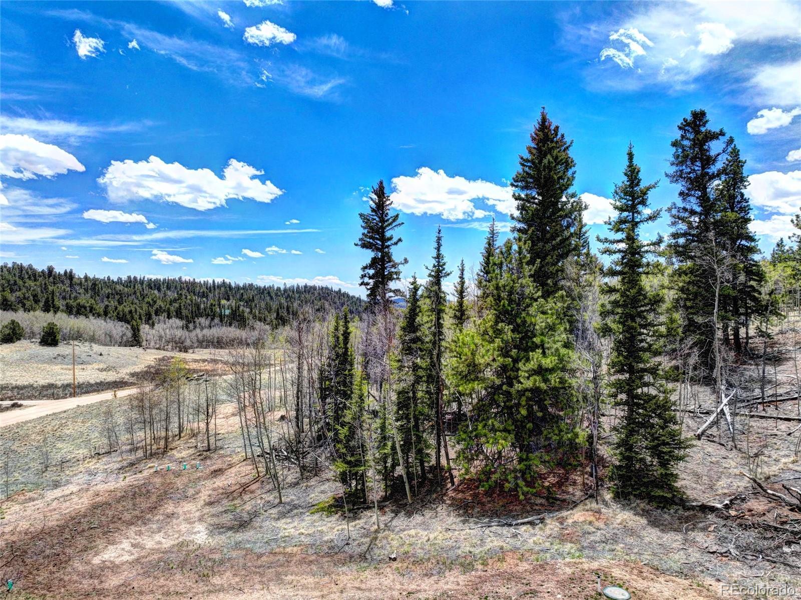 MLS Image #37 for 1840  ute tr ,como, Colorado