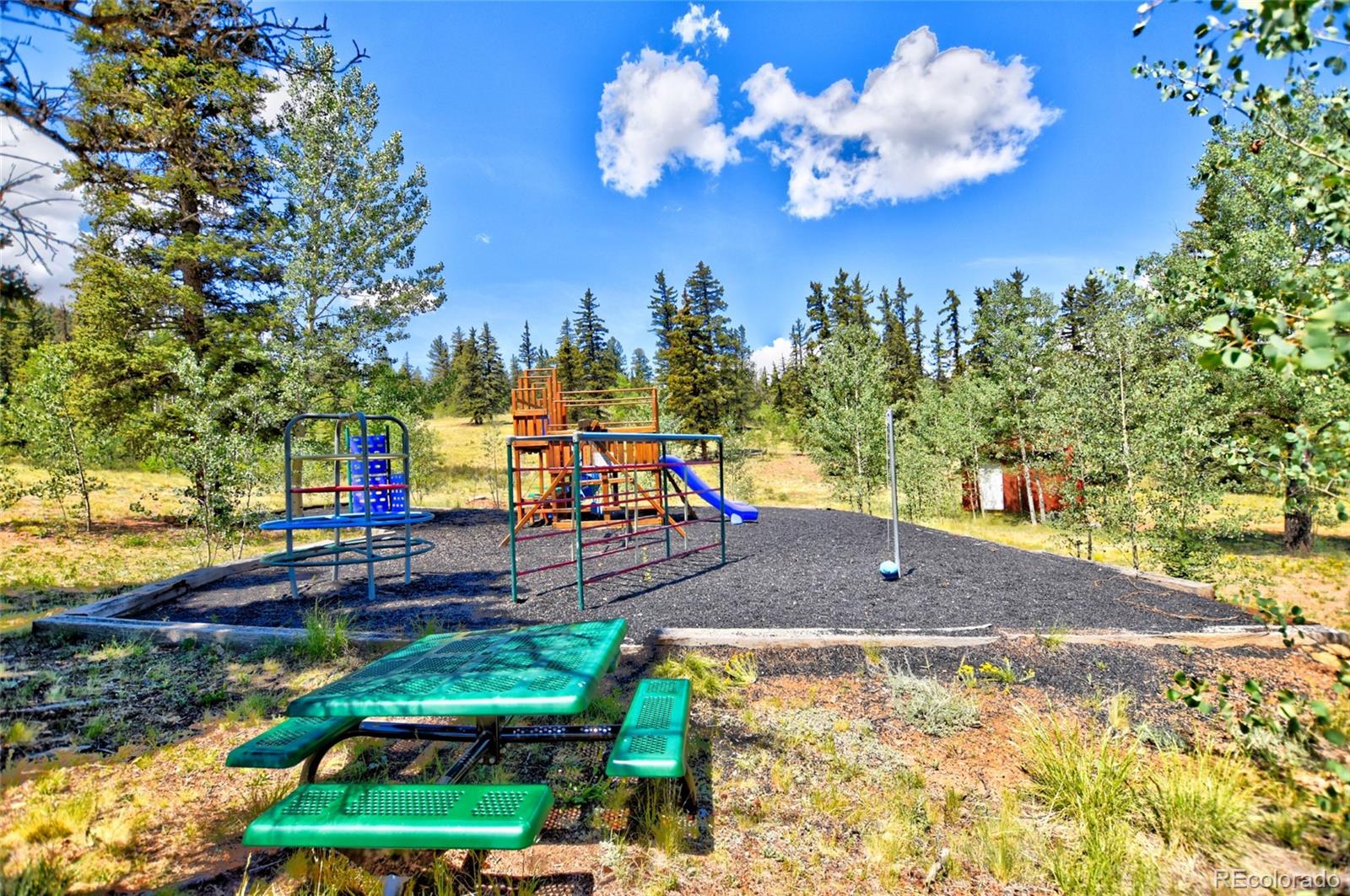 MLS Image #44 for 1840  ute tr ,como, Colorado