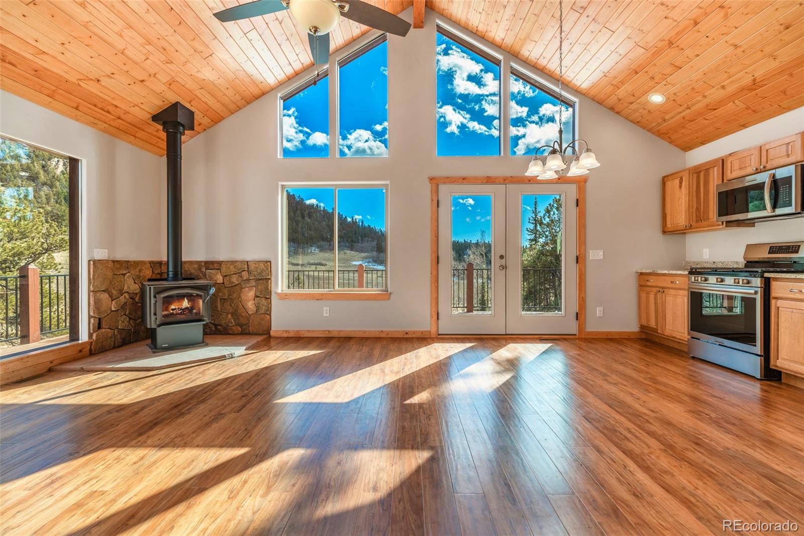 MLS Image #7 for 1840  ute tr ,como, Colorado