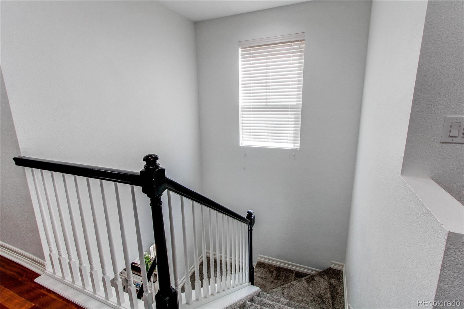 MLS Image #15 for 21418 e stroll avenue,parker, Colorado