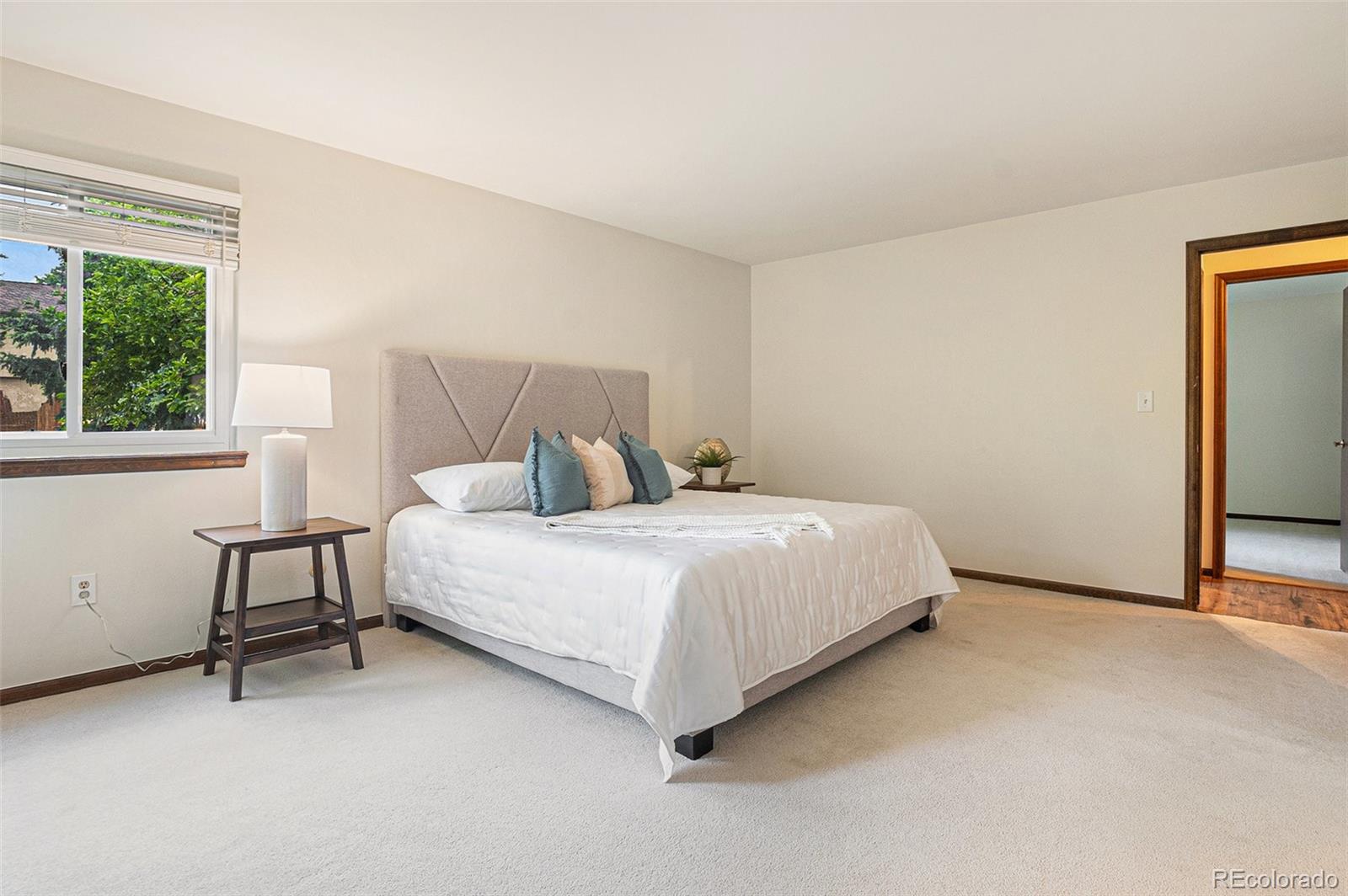MLS Image #12 for 7582 s newport court,centennial, Colorado