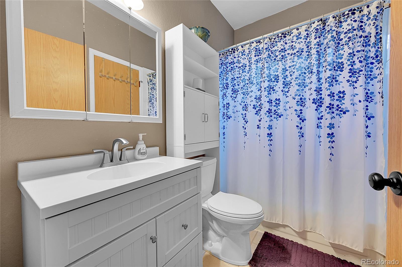MLS Image #10 for 5323 e sandpiper avenue,castle rock, Colorado