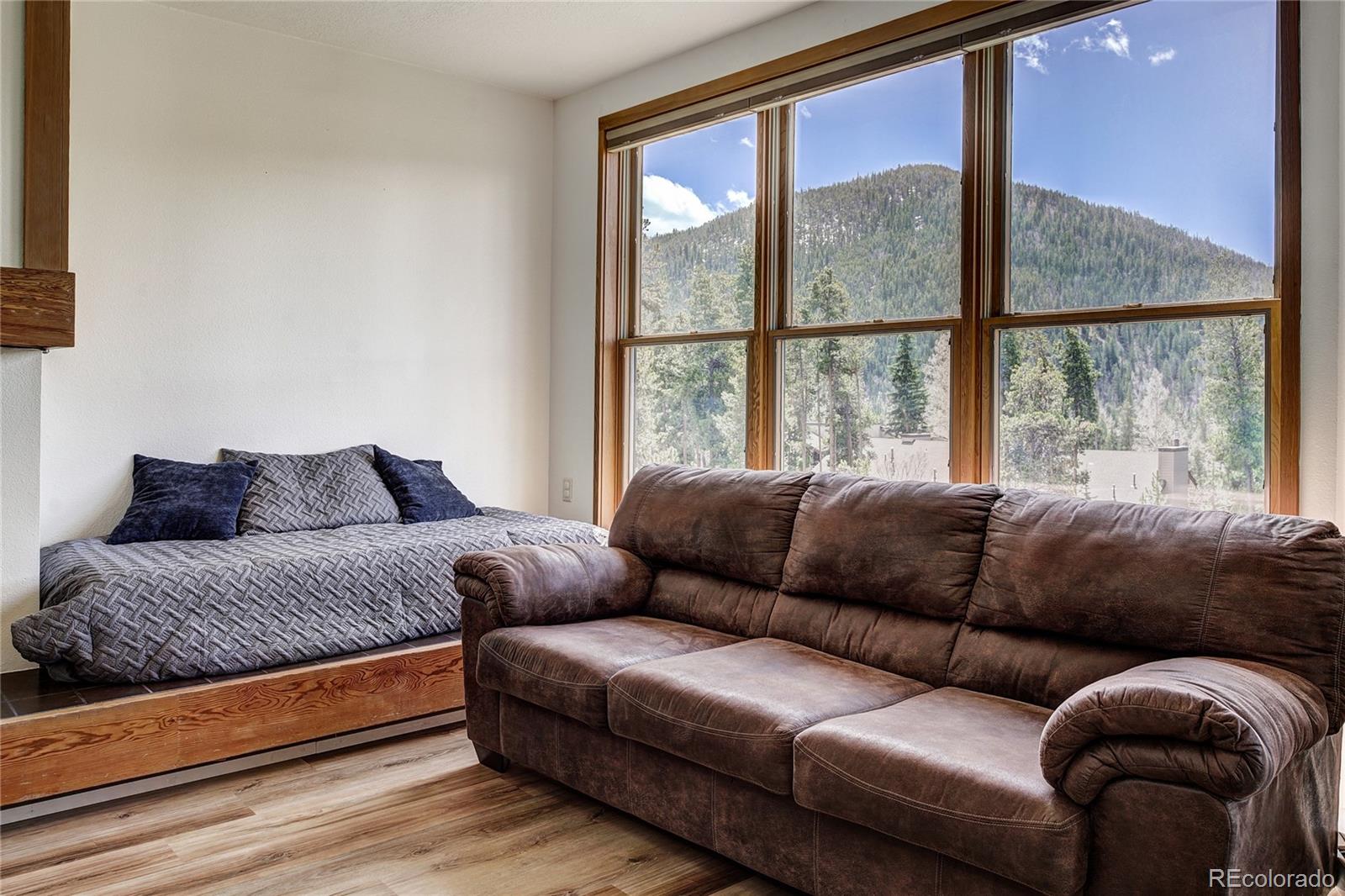 MLS Image #6 for 180  tennis club road,keystone, Colorado
