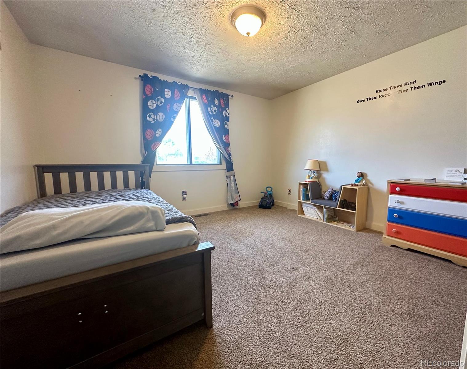 MLS Image #25 for 98  baylor drive,buena vista, Colorado