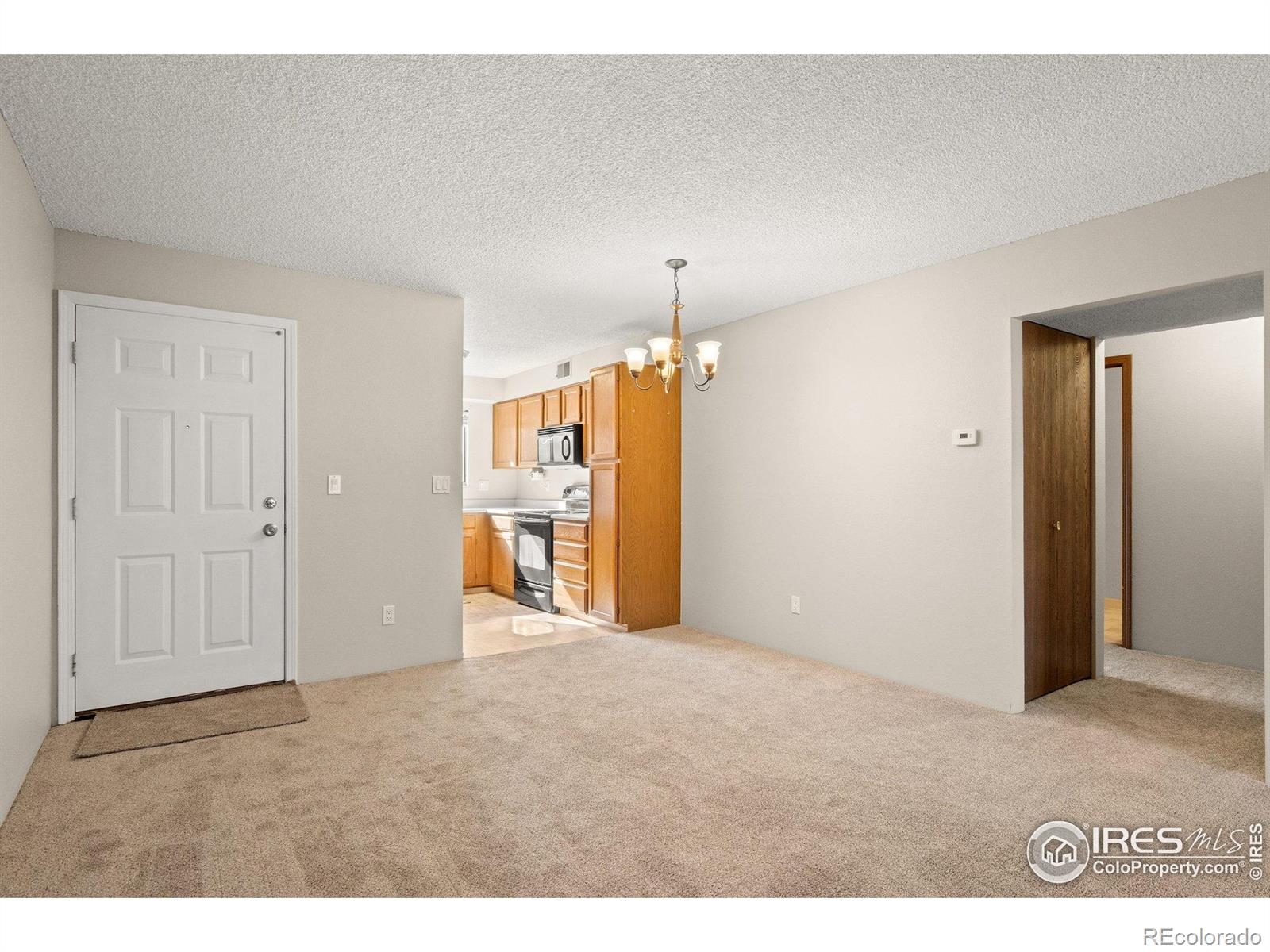 MLS Image #13 for 316  wright street,lakewood, Colorado