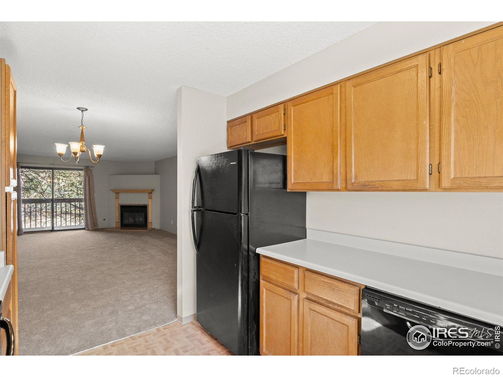 MLS Image #17 for 316  wright street,lakewood, Colorado
