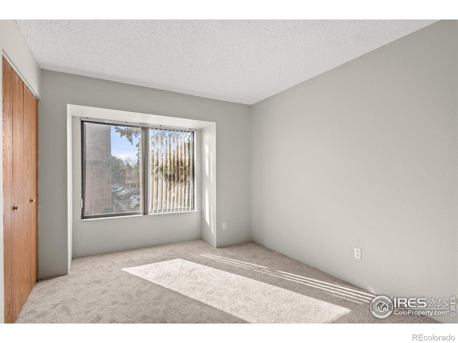MLS Image #22 for 316  wright street,lakewood, Colorado
